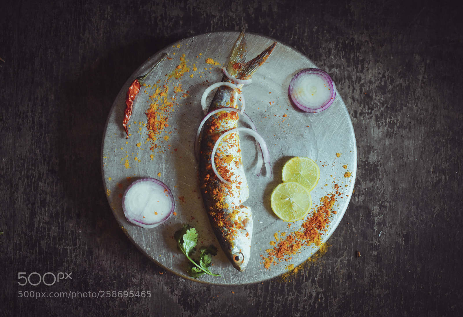 Nikon D3400 sample photo. Fishhhhhhhh photography