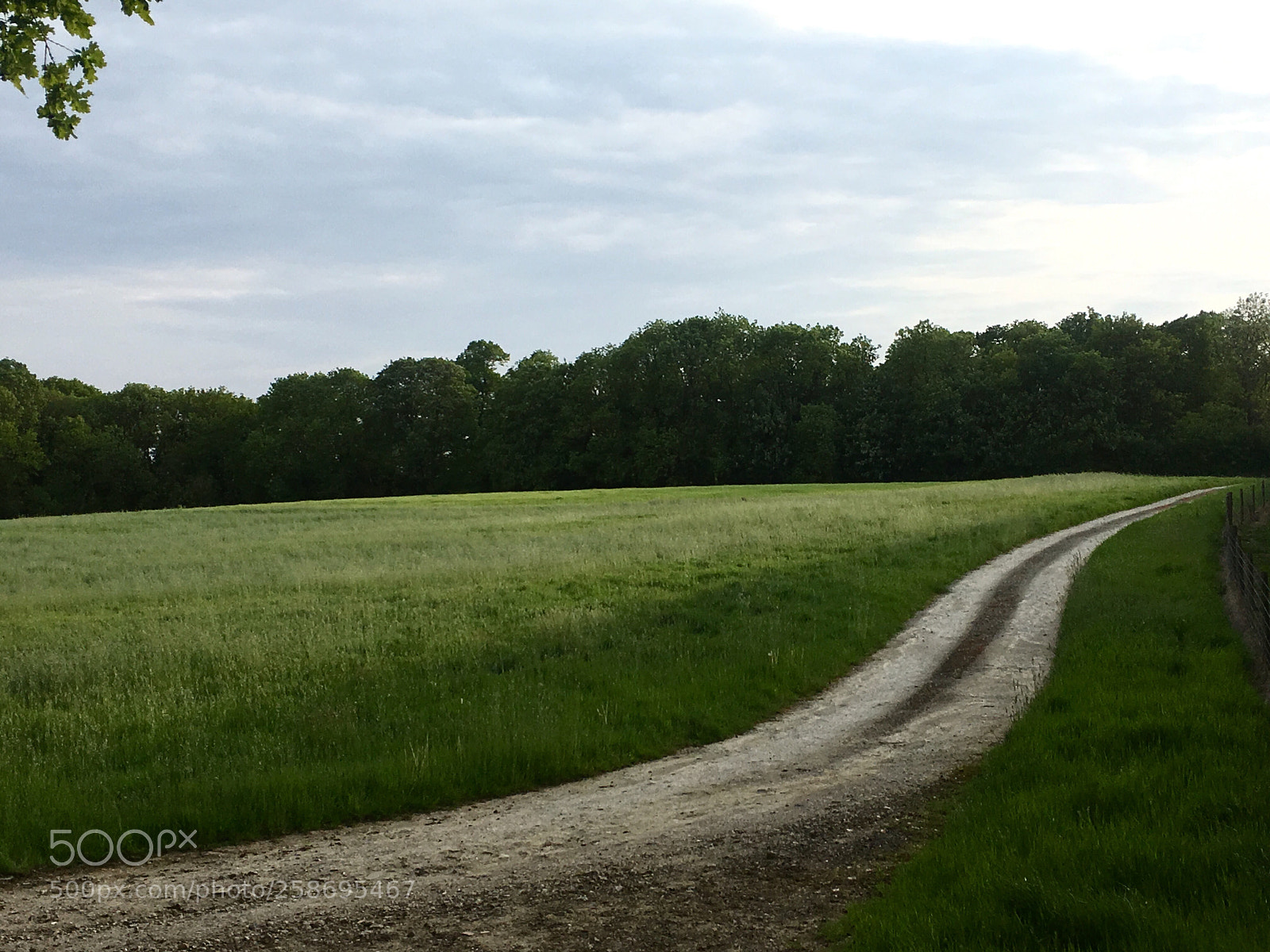 Apple iPhone 6s sample photo. Nur ein weg photography
