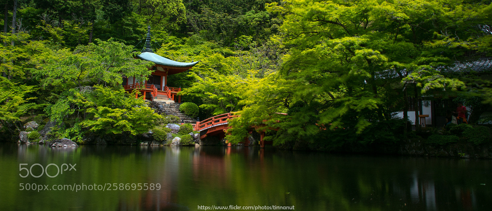 Nikon D750 sample photo. Daigoji temple photography