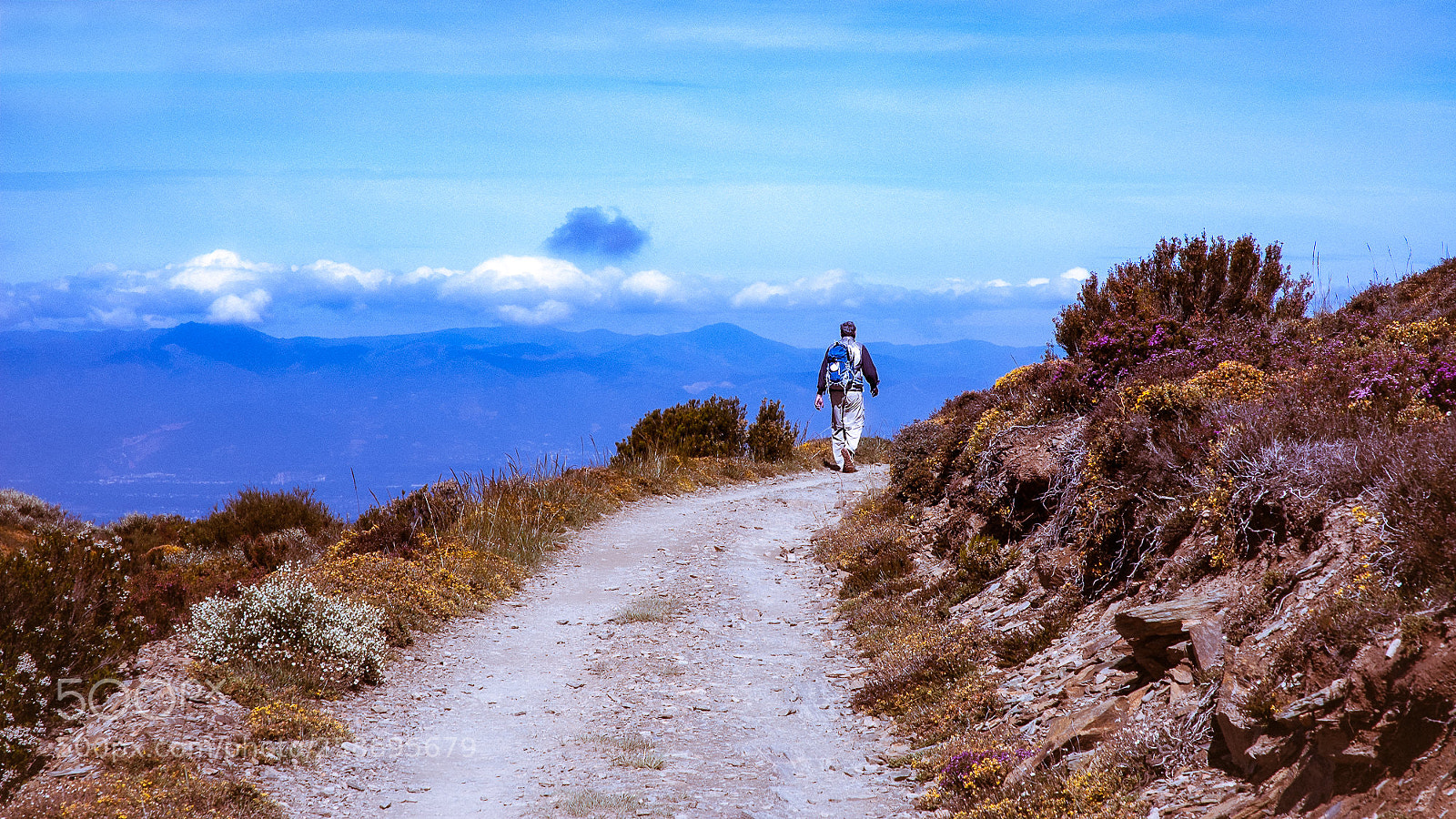 Nikon D70s sample photo. Camino de santiago - 13/25 photography