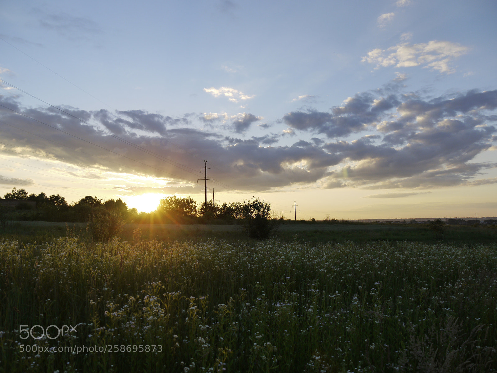 Panasonic Lumix DMC-G1 sample photo. Golden hour photography