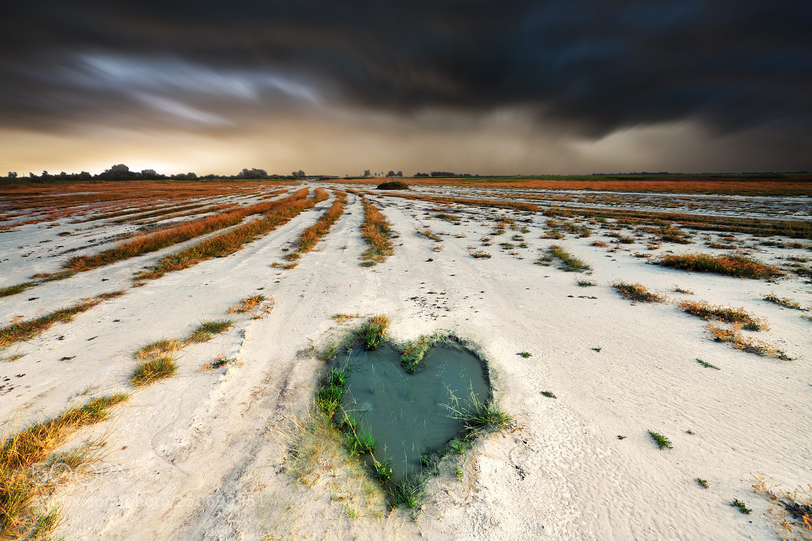 Canon EOS 50D sample photo. Breaking my heart photography