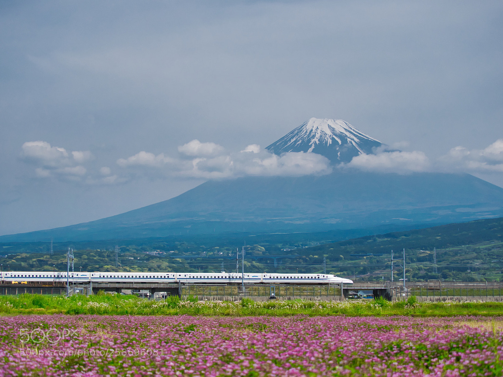 Olympus OM-D E-M5 II sample photo. Mt. fuji and shinkansen photography