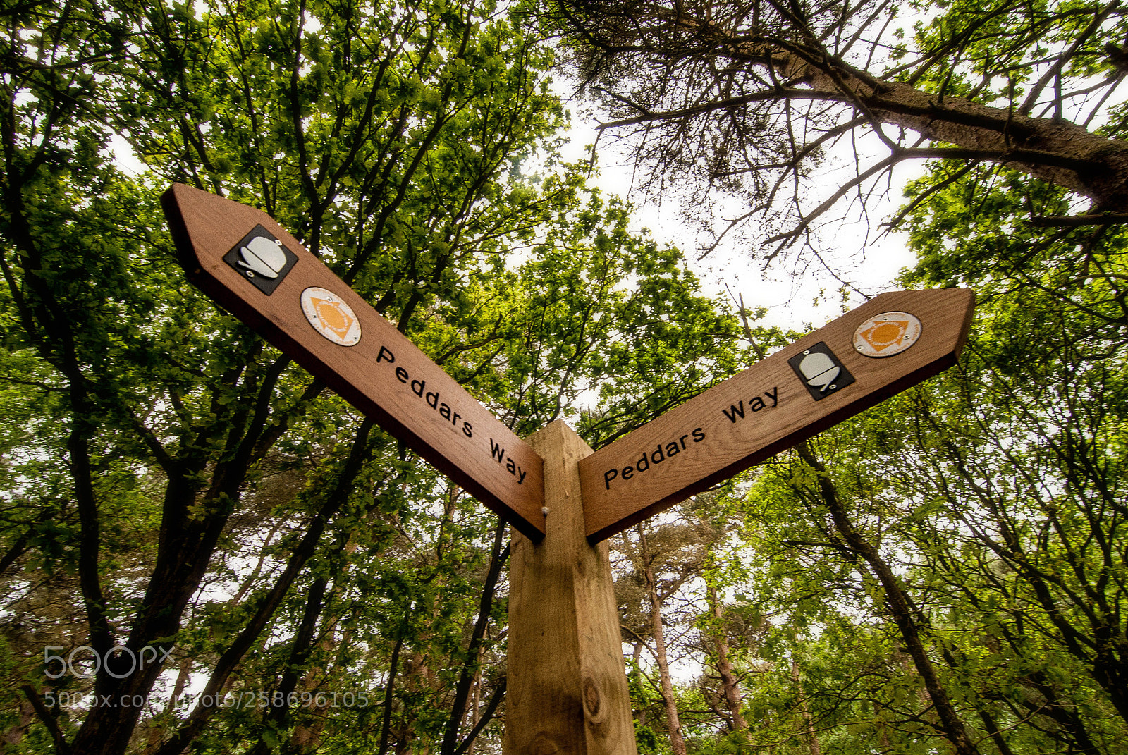 Nikon D3000 sample photo. A well signposted walk photography