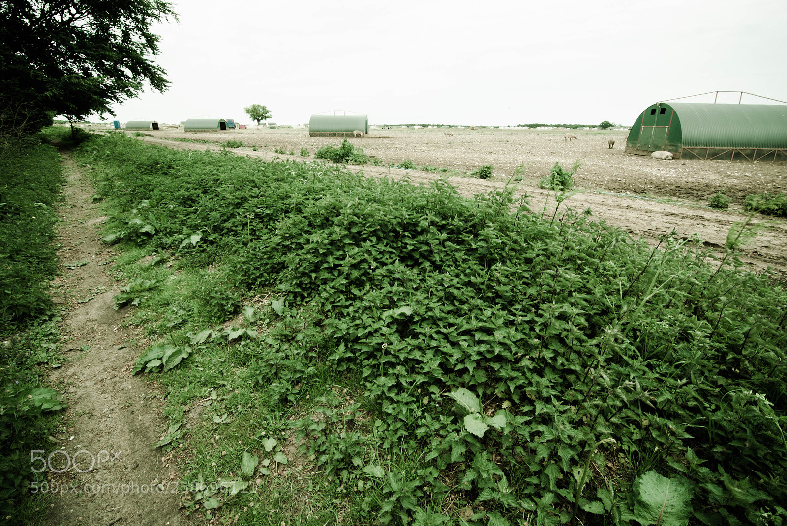 Nikon D3000 sample photo. Peddars way #2 photography