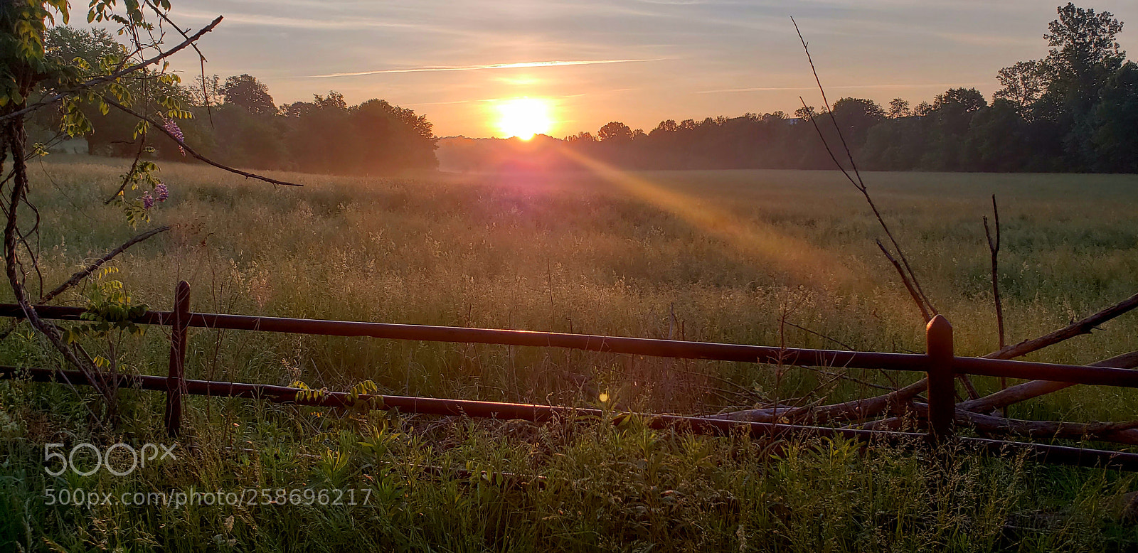 Samsung Galaxy S9+ sample photo. Untitled photography