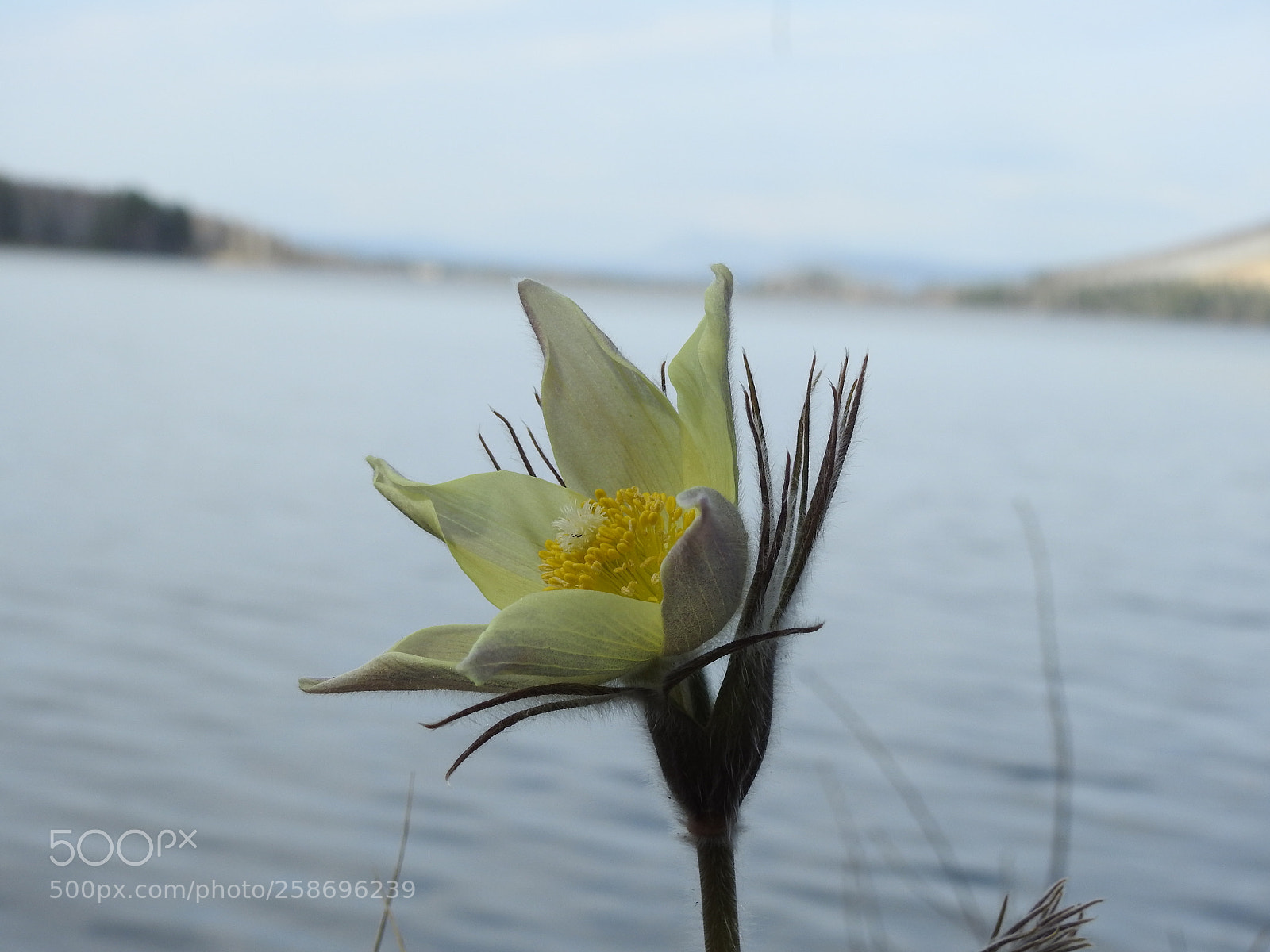 Nikon Coolpix P900 sample photo. На берегу Айского водохранилища photography