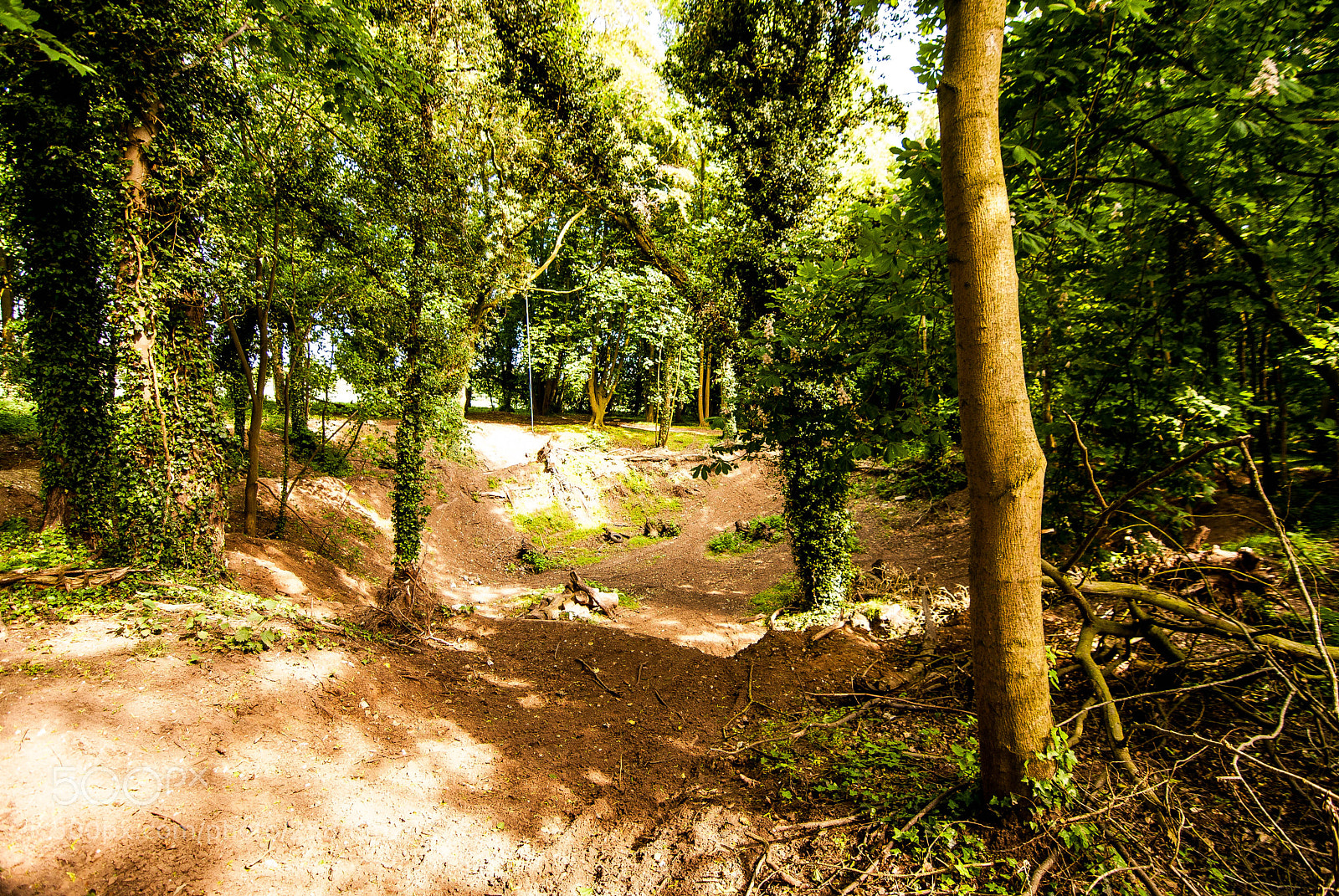 Nikon D3000 sample photo. Bomb hole photography