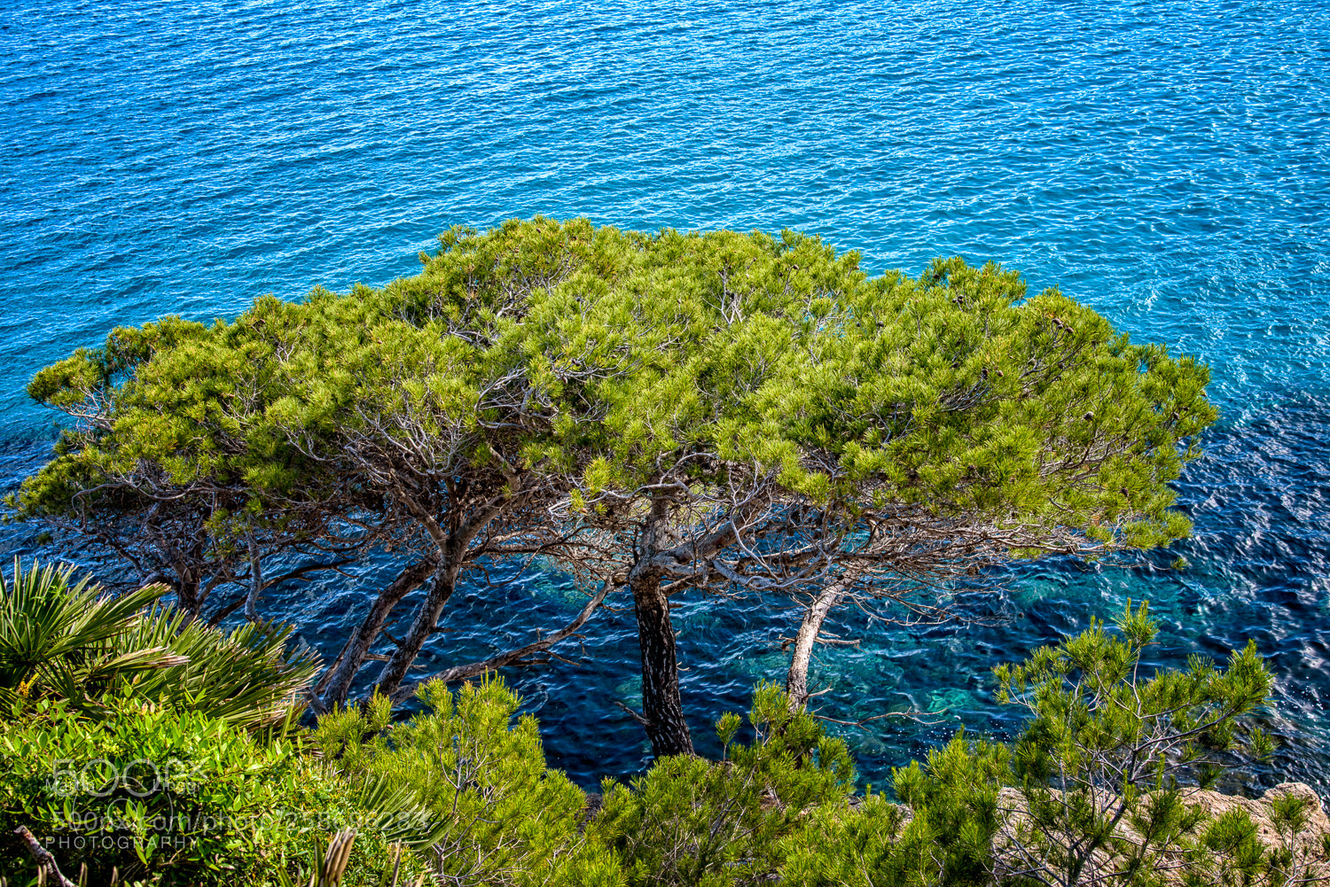 Nikon D750 sample photo. Sea sky photography