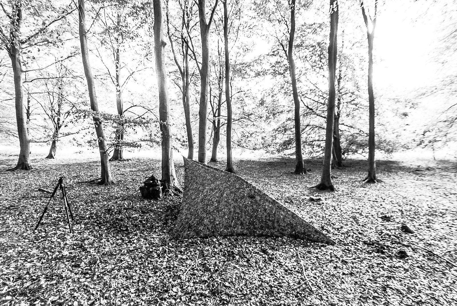 Nikon D3000 sample photo. Stealth photography