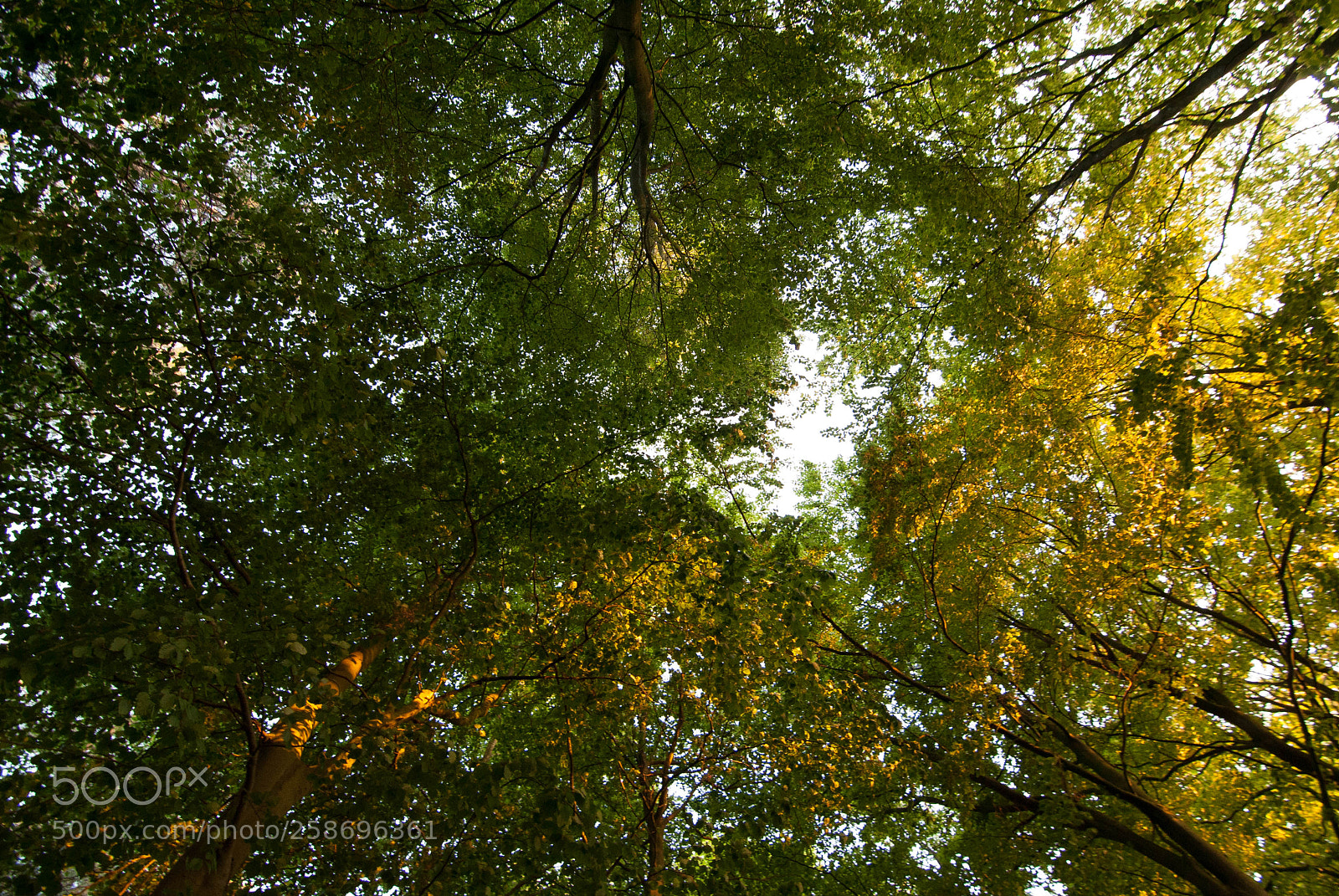 Nikon D3000 sample photo. Woke up to this photography