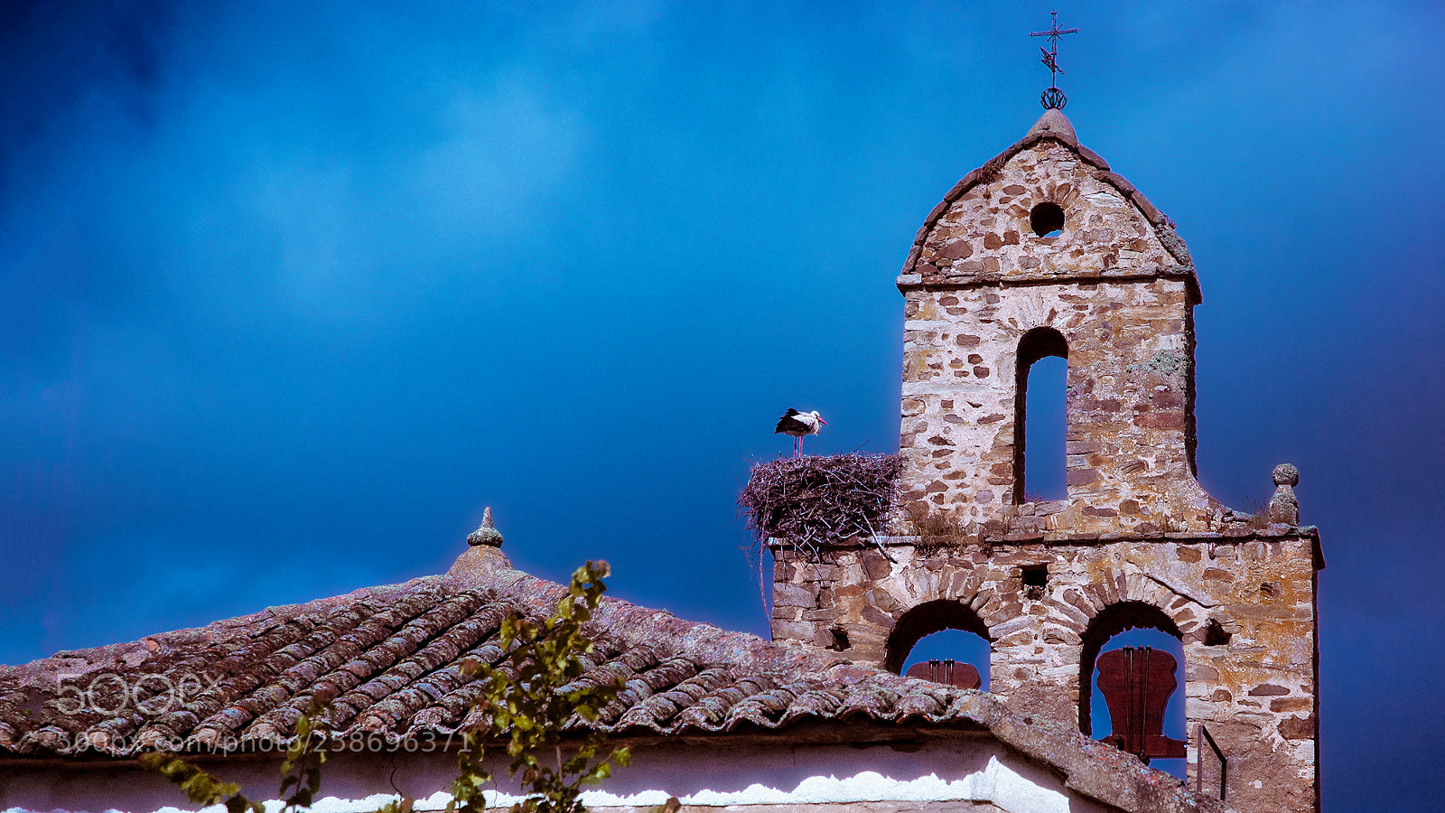 Nikon D70s sample photo. Camino de santiago - 17/25 photography