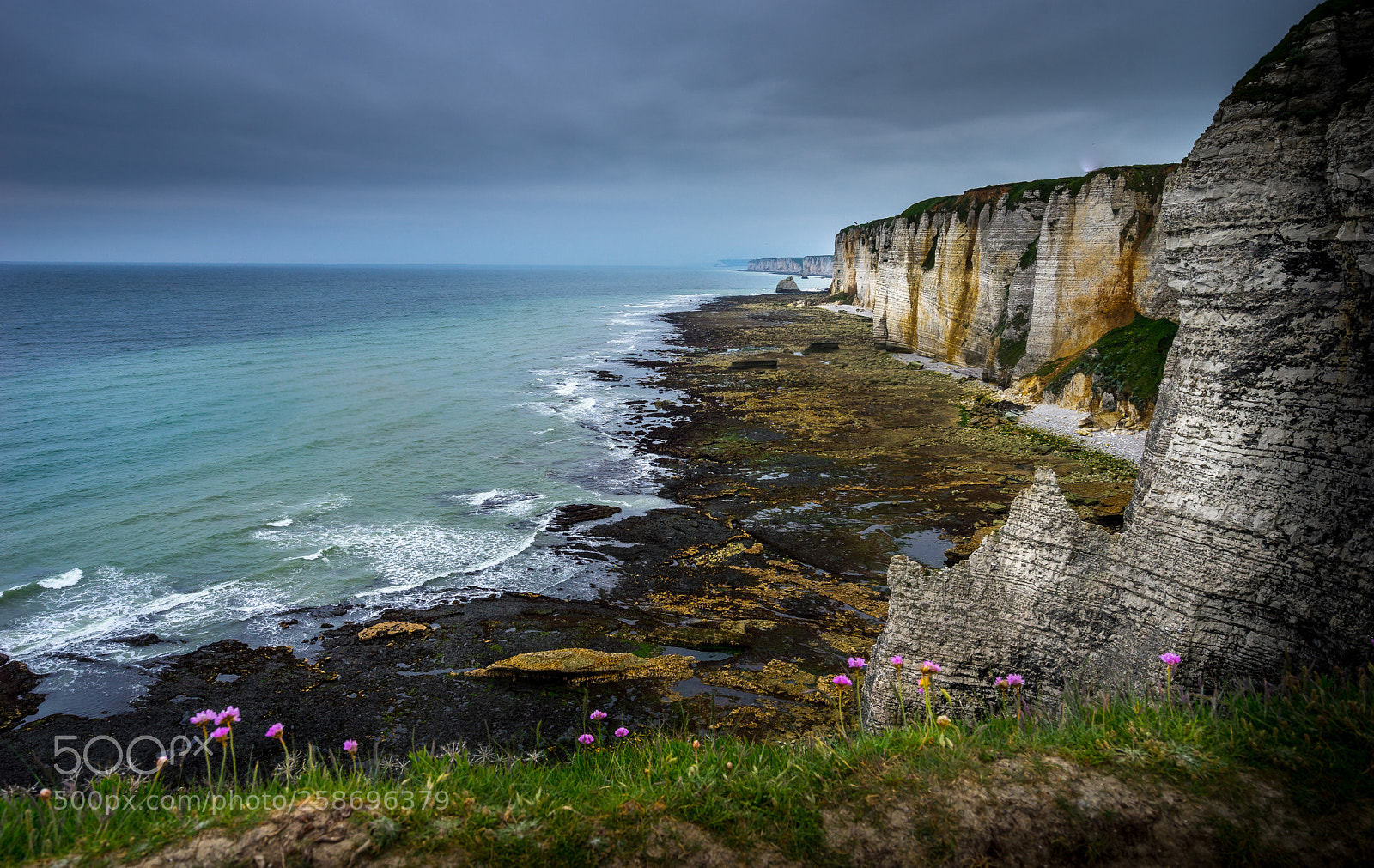 Sony a7 sample photo. Flowers in normandy photography