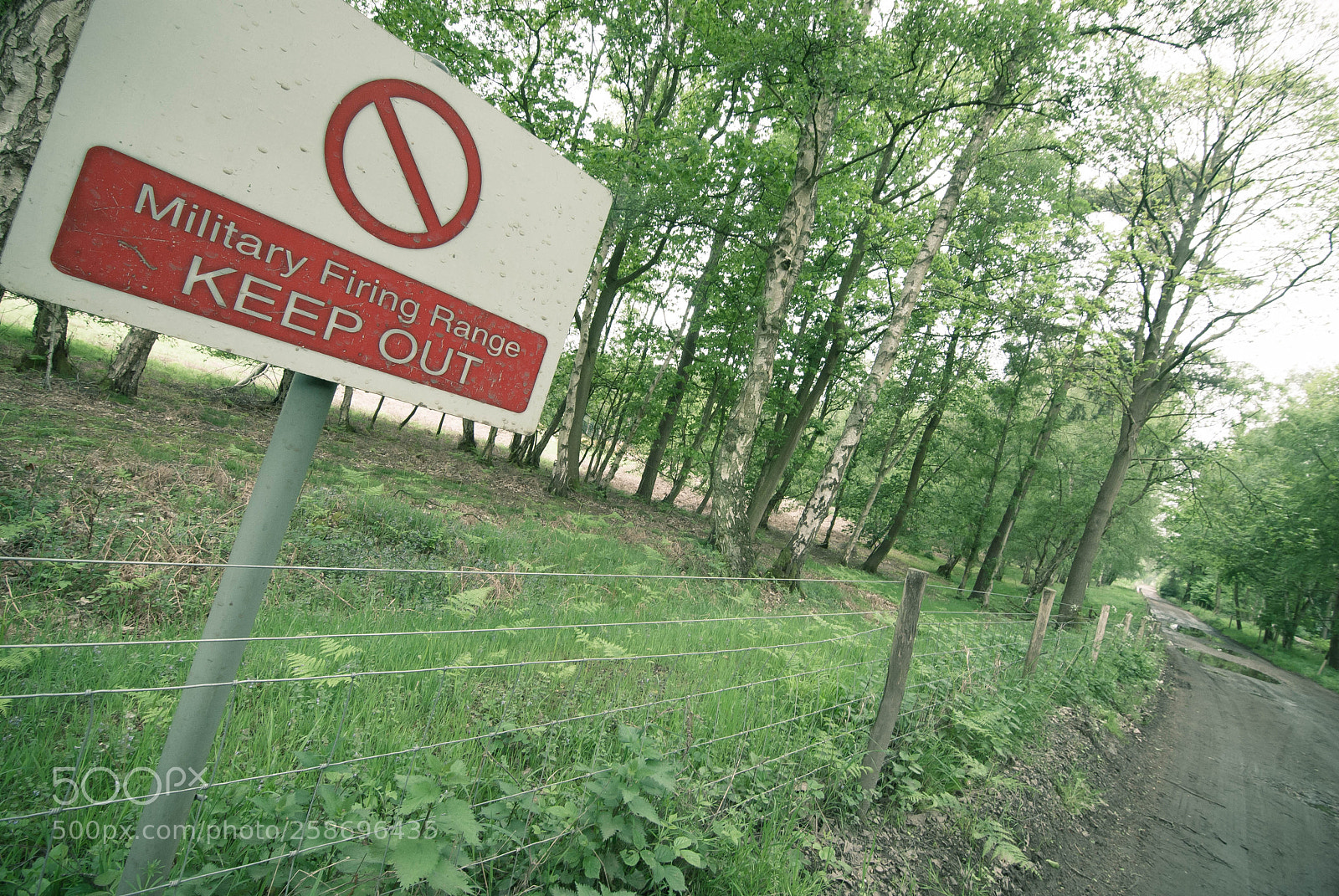 Nikon D3000 sample photo. Peddars way #19 photography