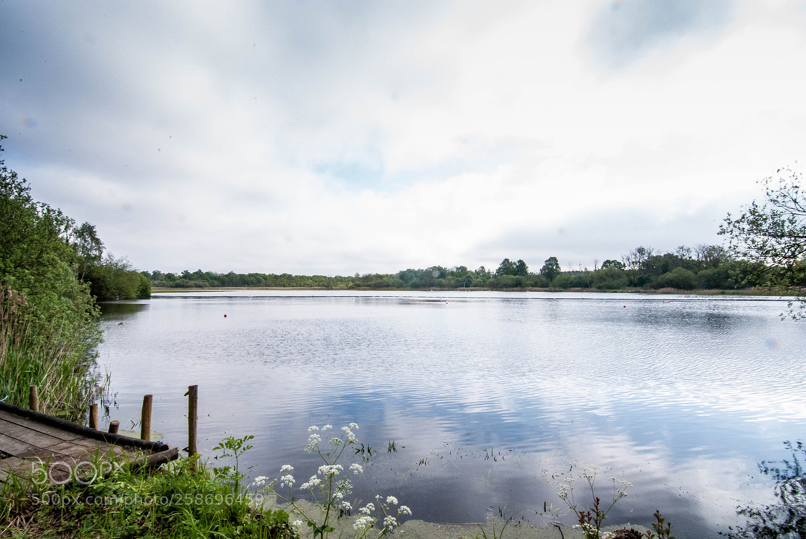 Nikon D3000 sample photo. Thompson water photography