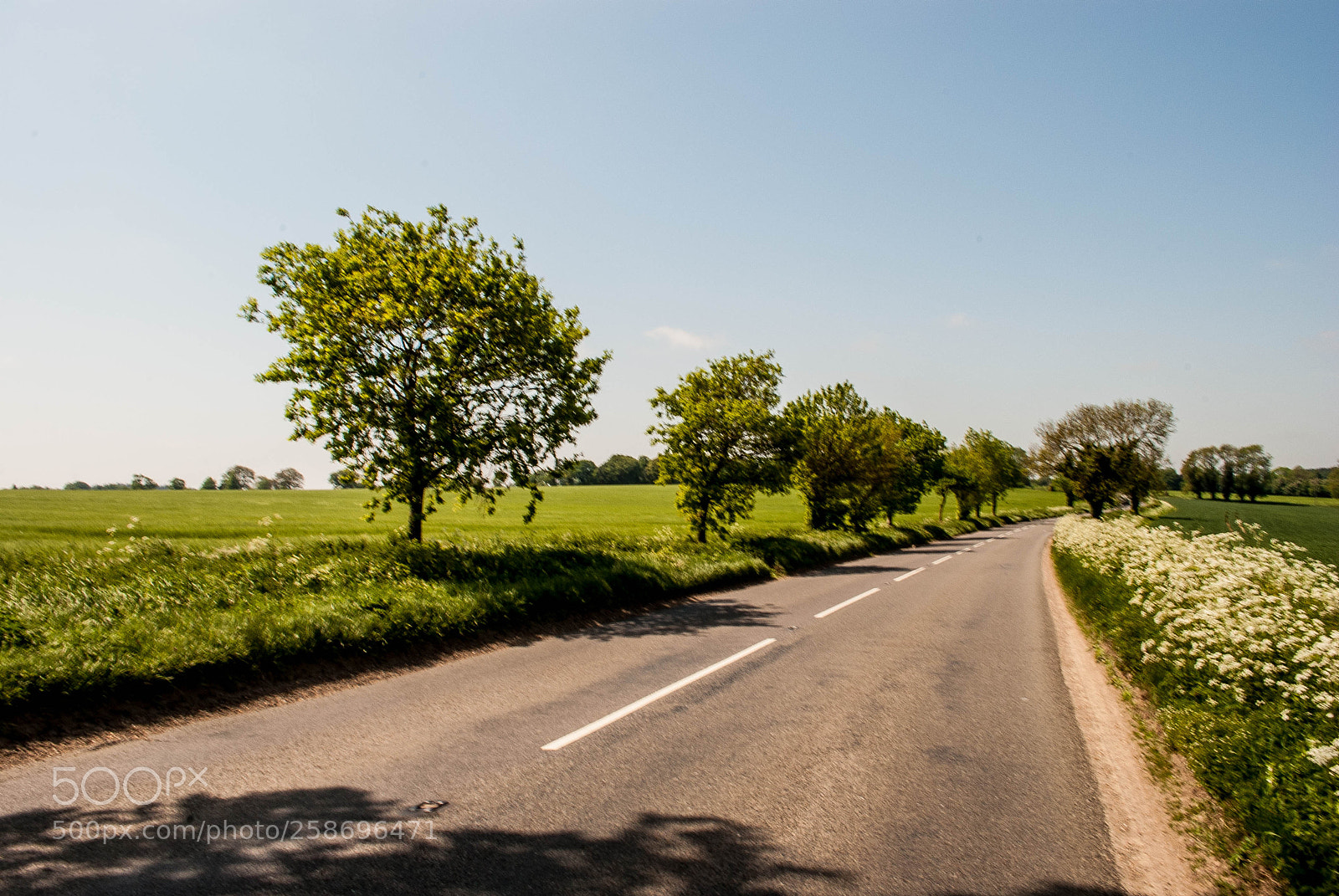 Nikon D3000 sample photo. Peddars way #24 photography