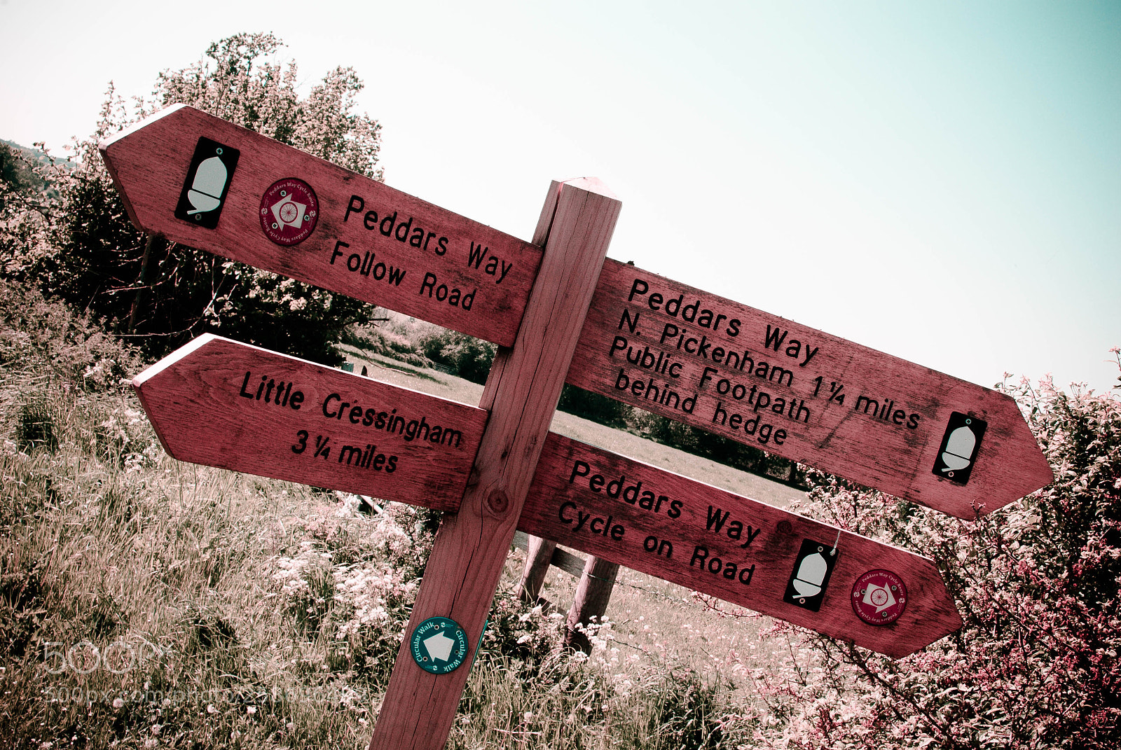 Nikon D3000 sample photo. Peddars way #26 photography