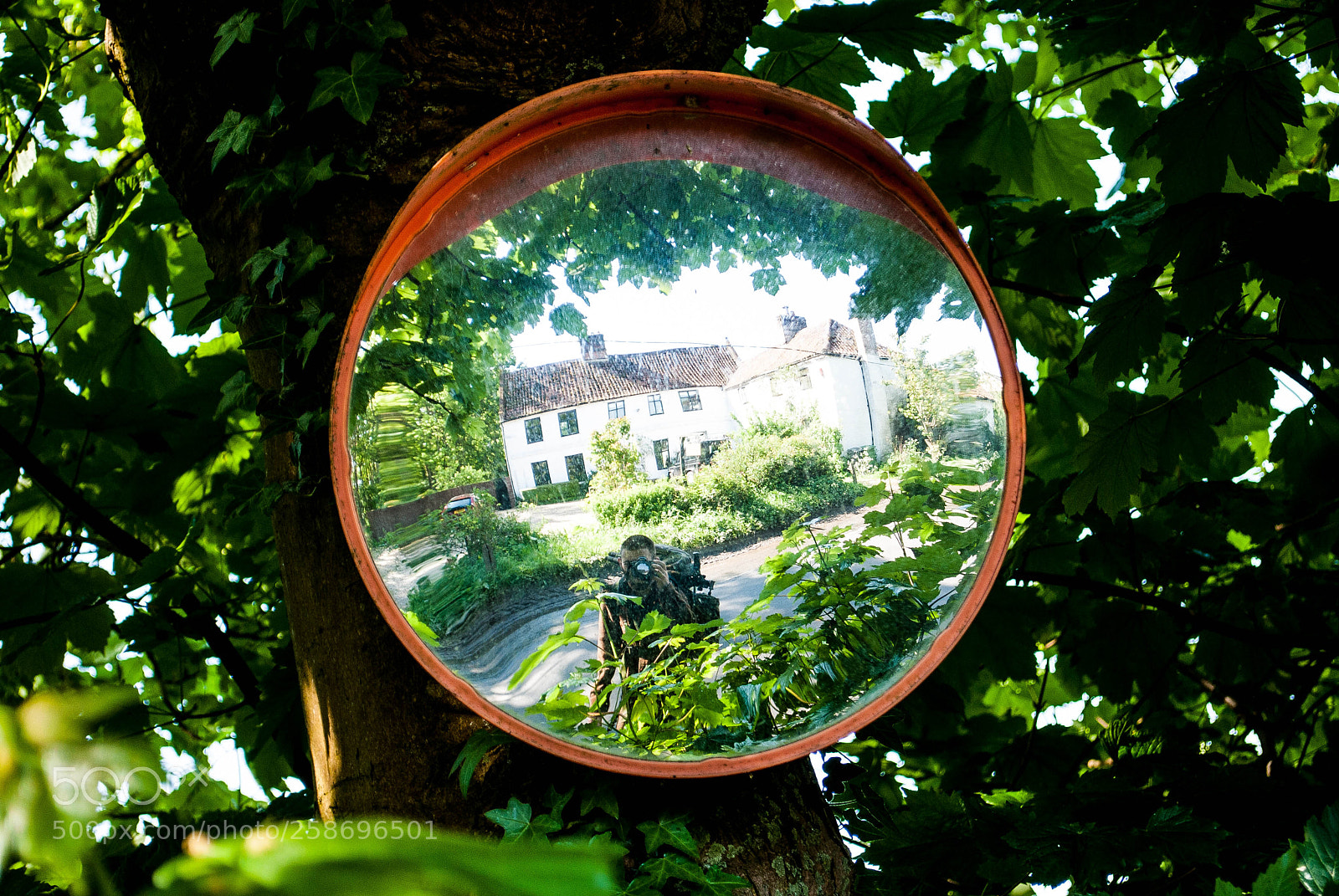 Nikon D3000 sample photo. Peddars way #28 photography