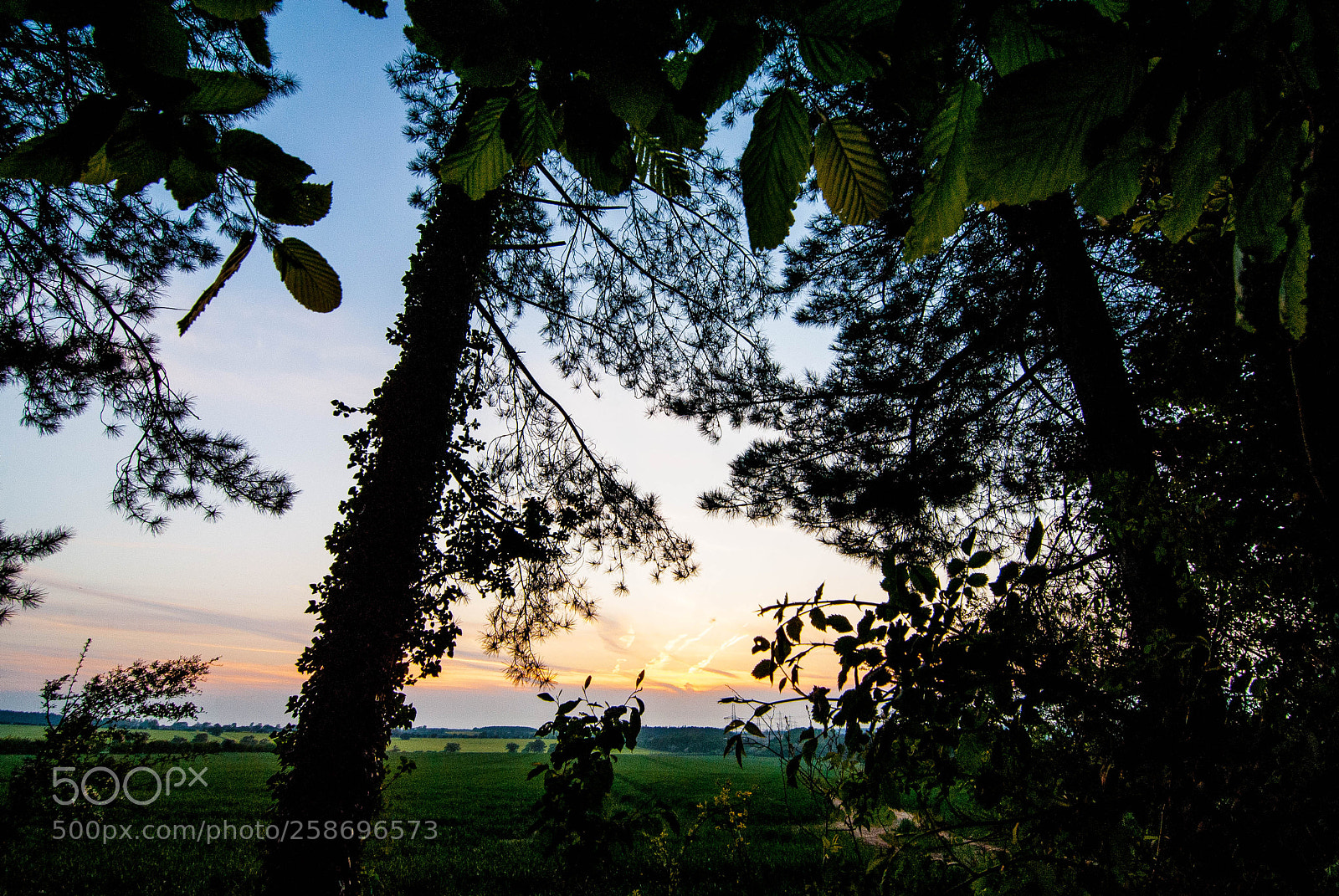 Nikon D3000 sample photo. Sunrise 2nd night photography