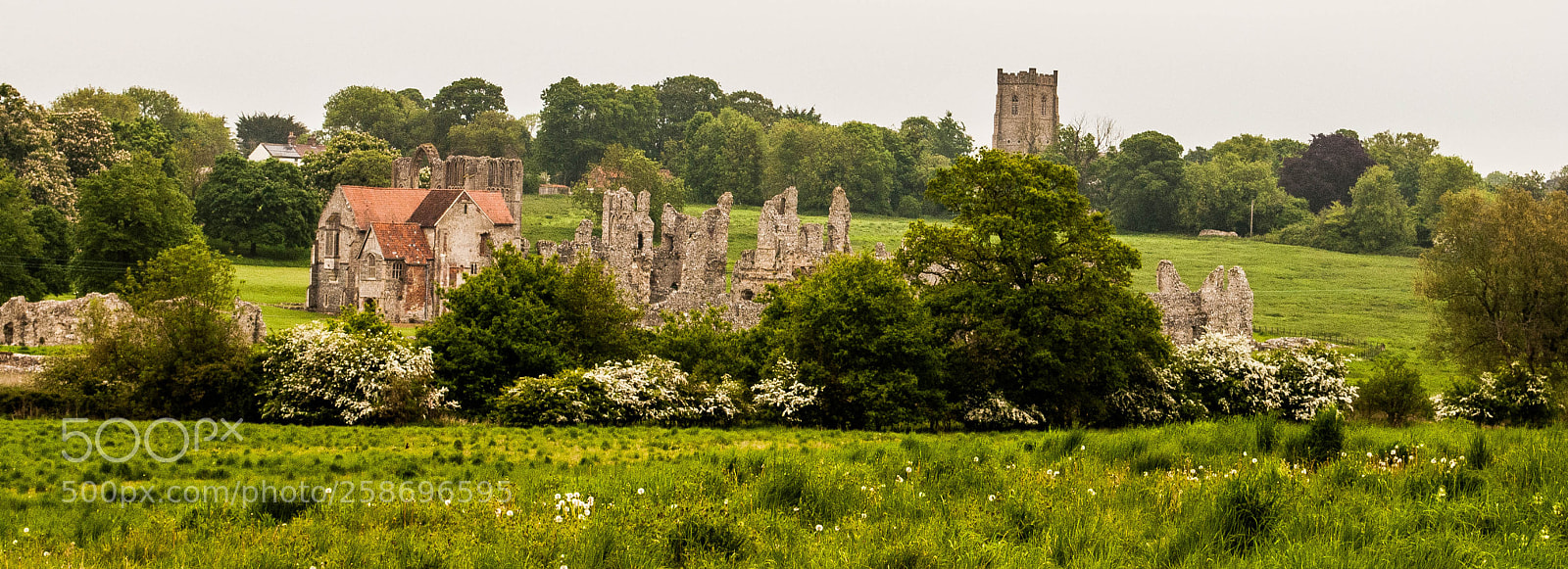 Nikon D3000 sample photo. Castle acre priory photography