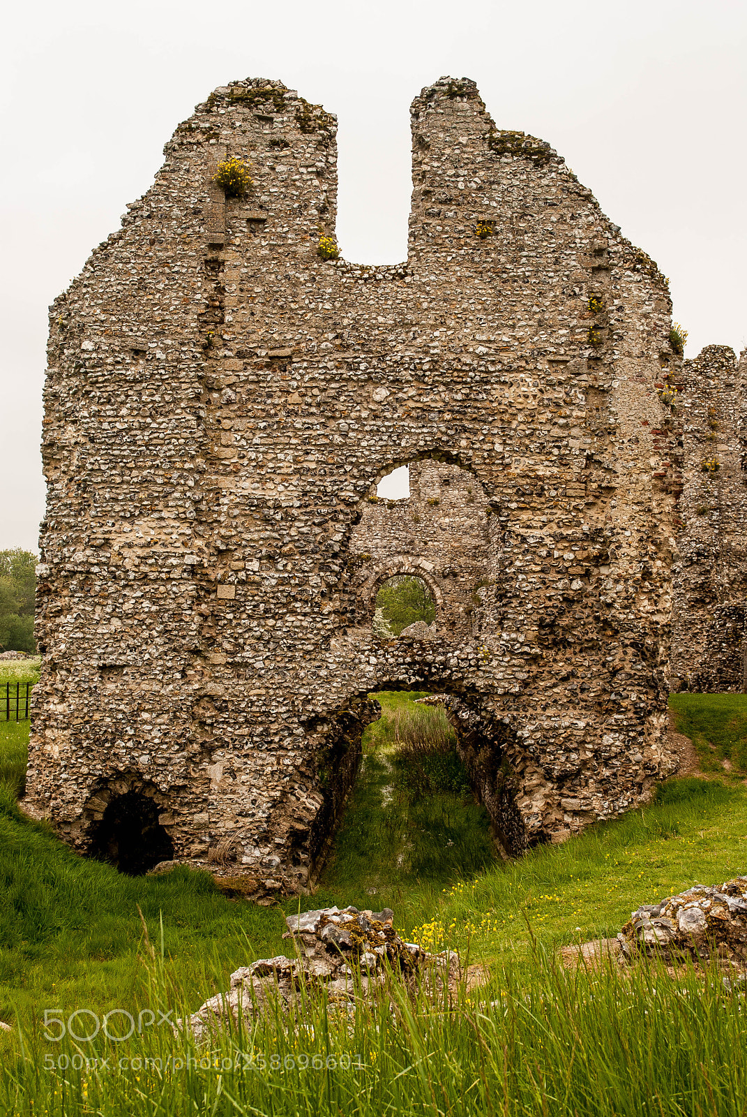 Nikon D3000 sample photo. Castle acre priory #13 photography