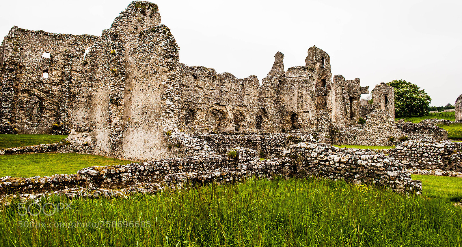 Nikon D3000 sample photo. Castle acre priory #9 photography