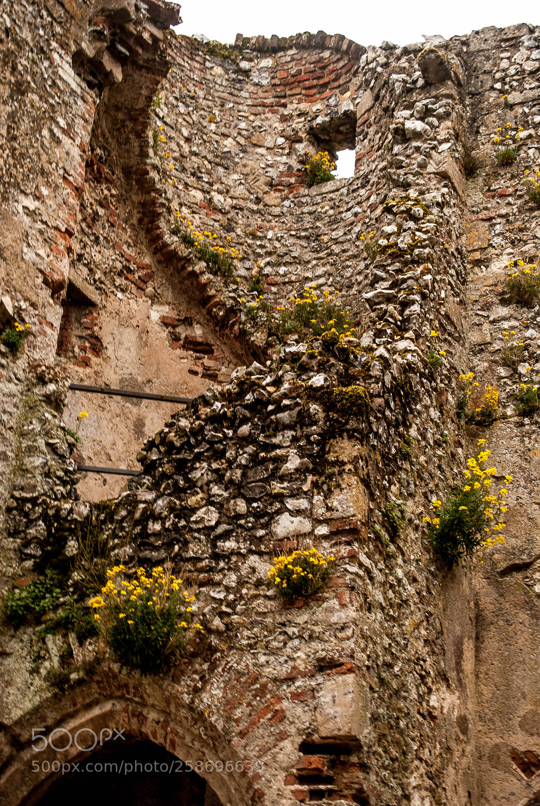 Nikon D3000 sample photo. Peddars way #49 photography