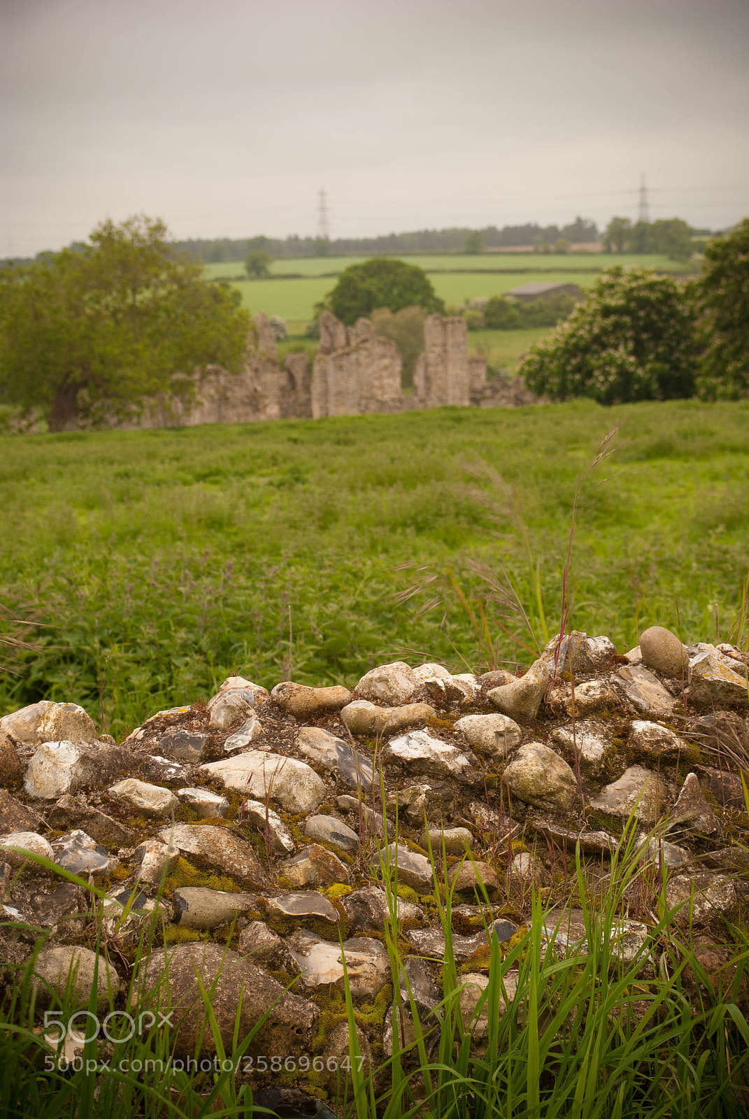 Nikon D3000 sample photo. Peddars way #56 photography