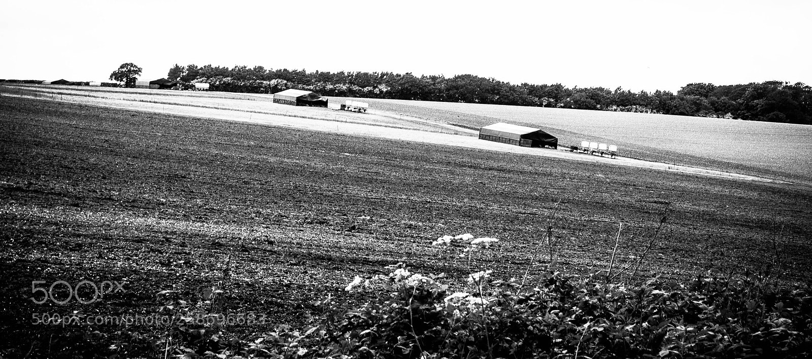 Nikon D3000 sample photo. Peddars way #63 photography