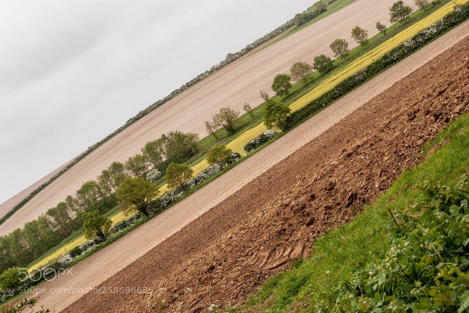 Nikon D3000 sample photo. Peddars way #65 photography
