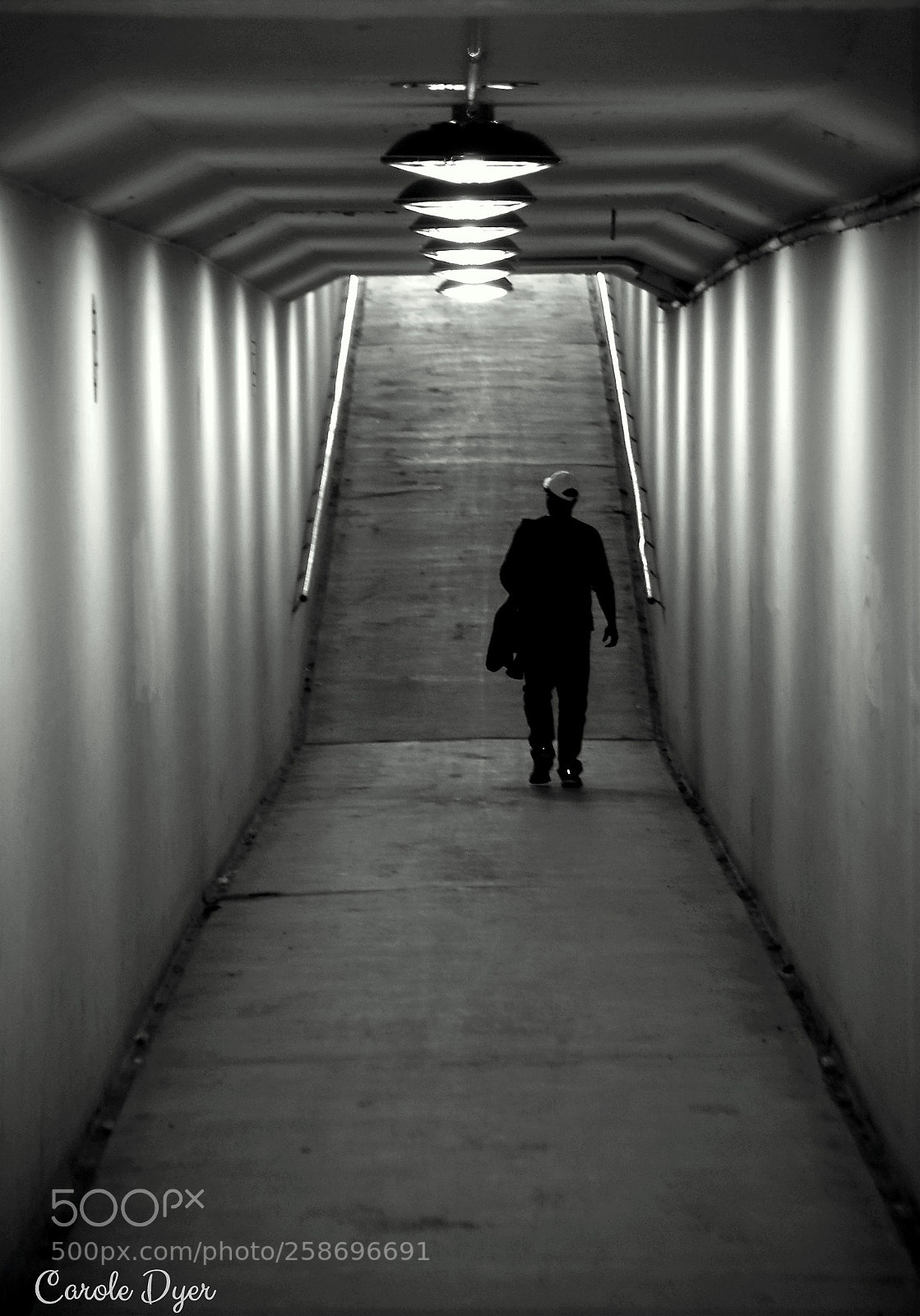 Nikon D5600 sample photo. Don't look back photography