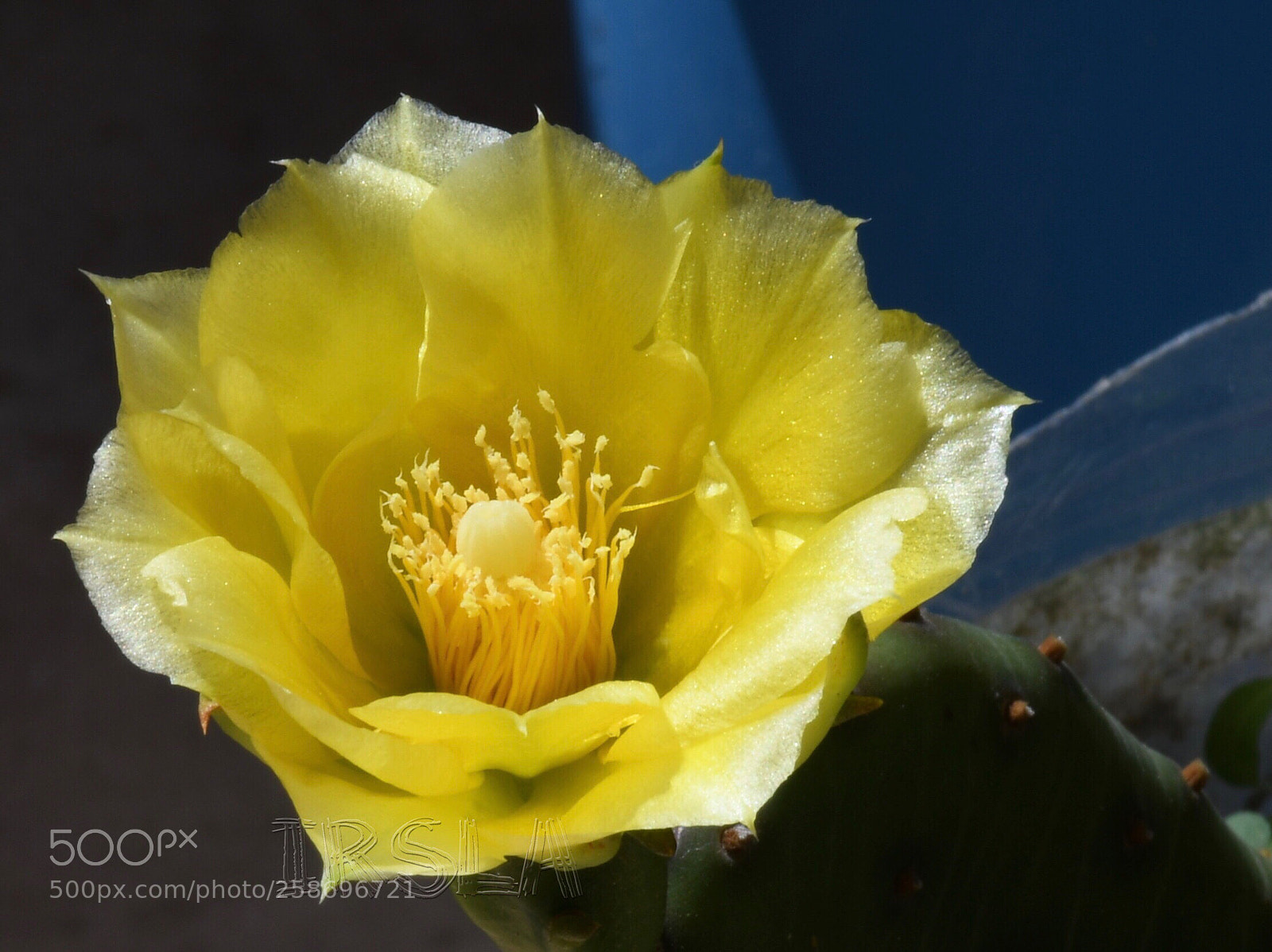 Nikon D7500 sample photo. Untitled photography