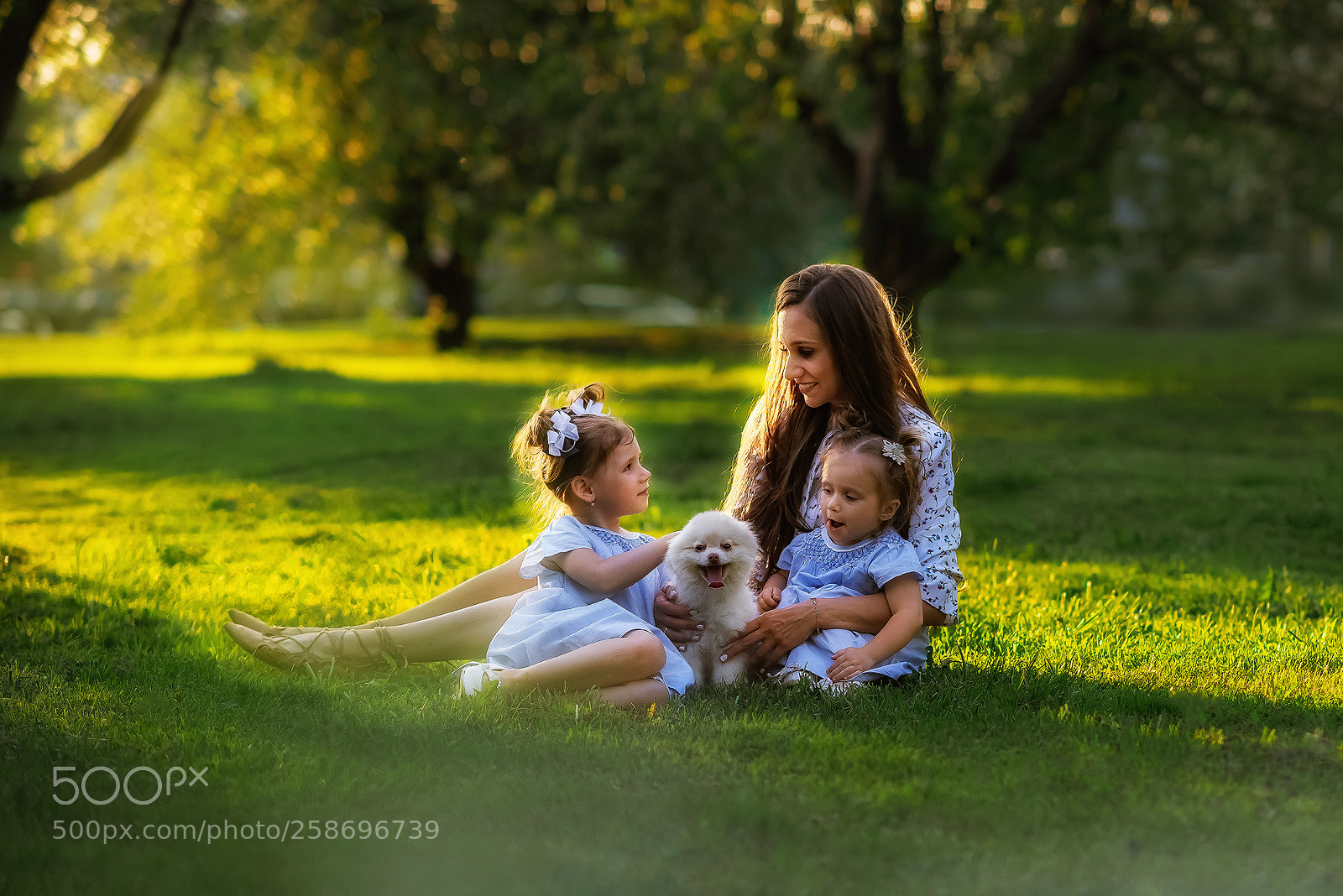 Nikon D810 sample photo. На закате photography