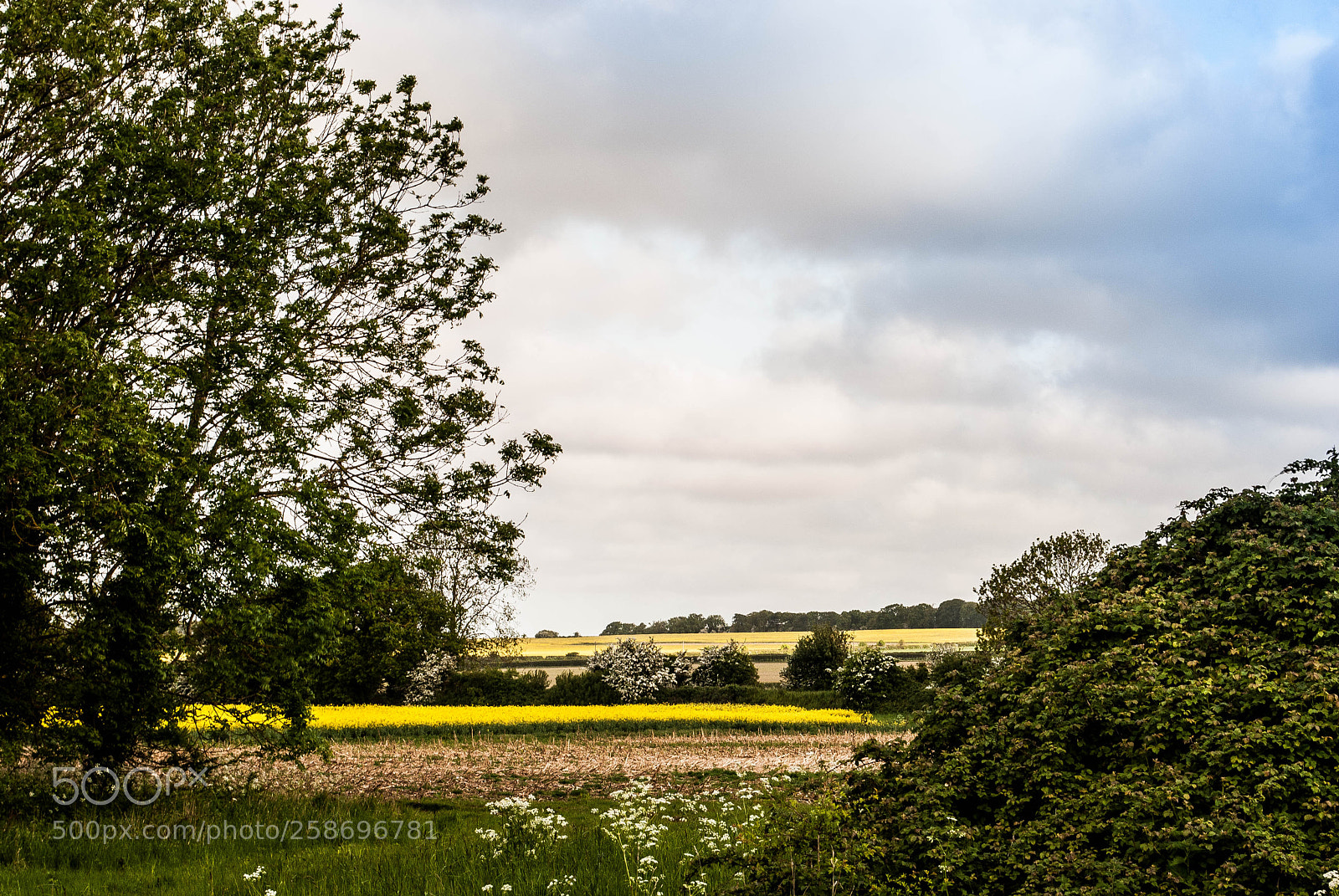Nikon D3000 sample photo. Peddars way #70 photography