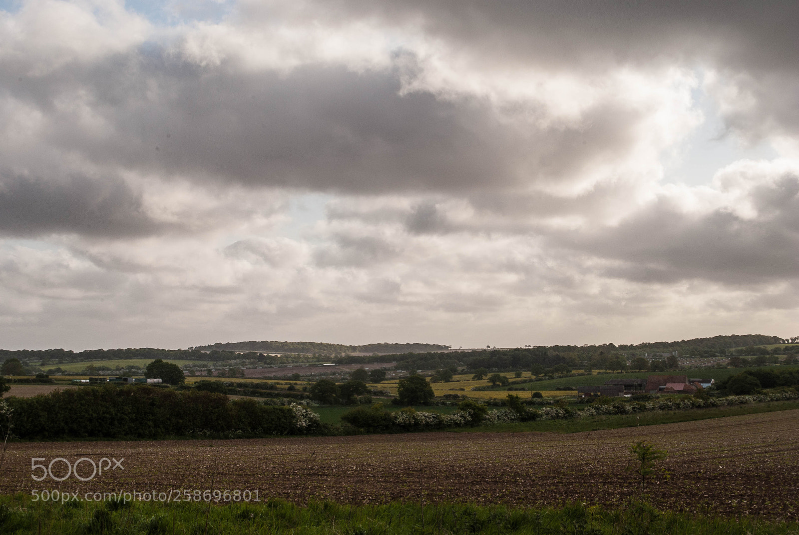 Nikon D3000 sample photo. Peddars way #74 photography