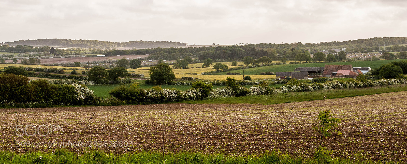 Nikon D3000 sample photo. Peddars way #75 photography
