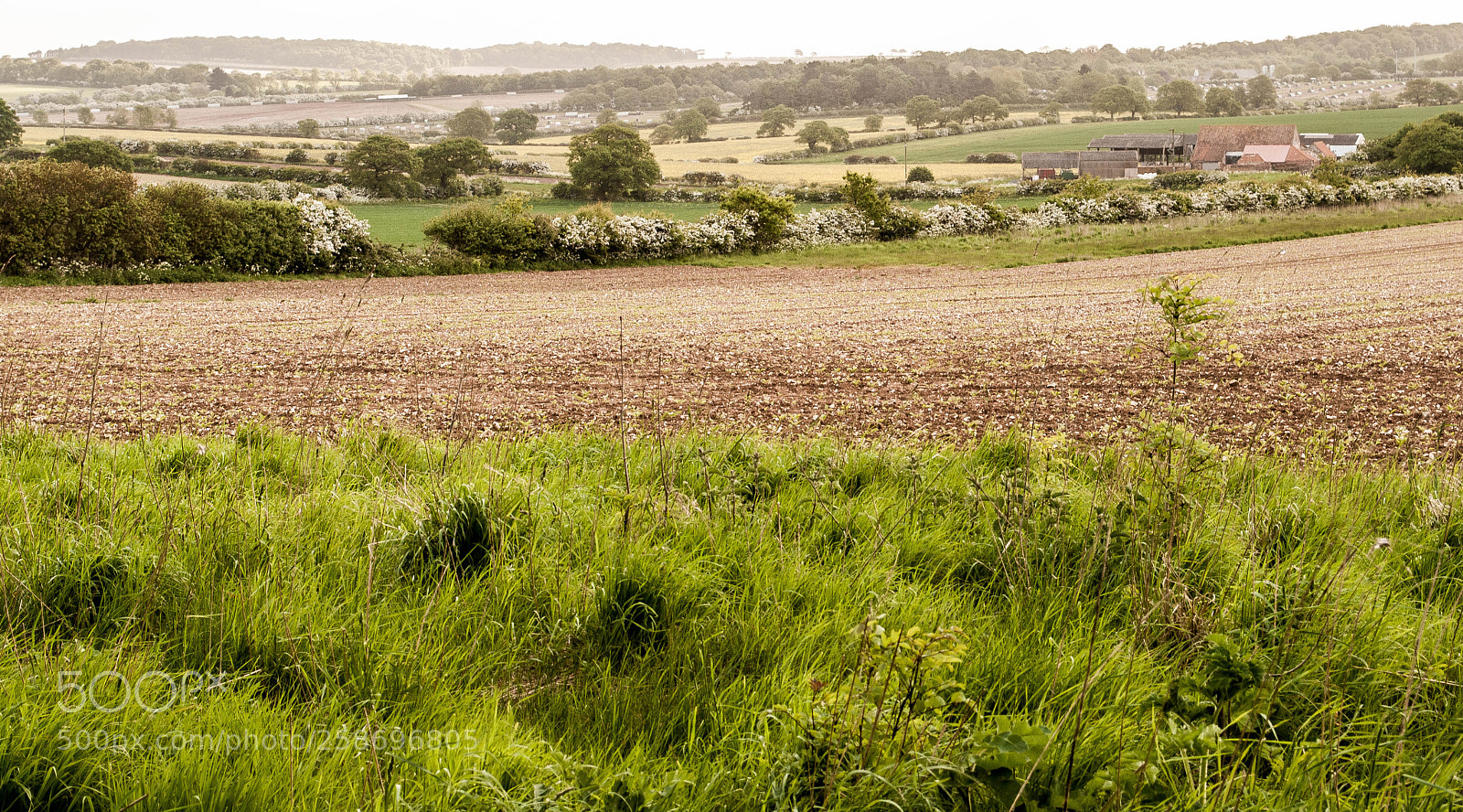 Nikon D3000 sample photo. Peddars way #77 photography