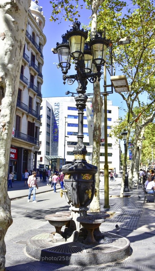 Nikon D7200 sample photo. Fuente canaletas photography