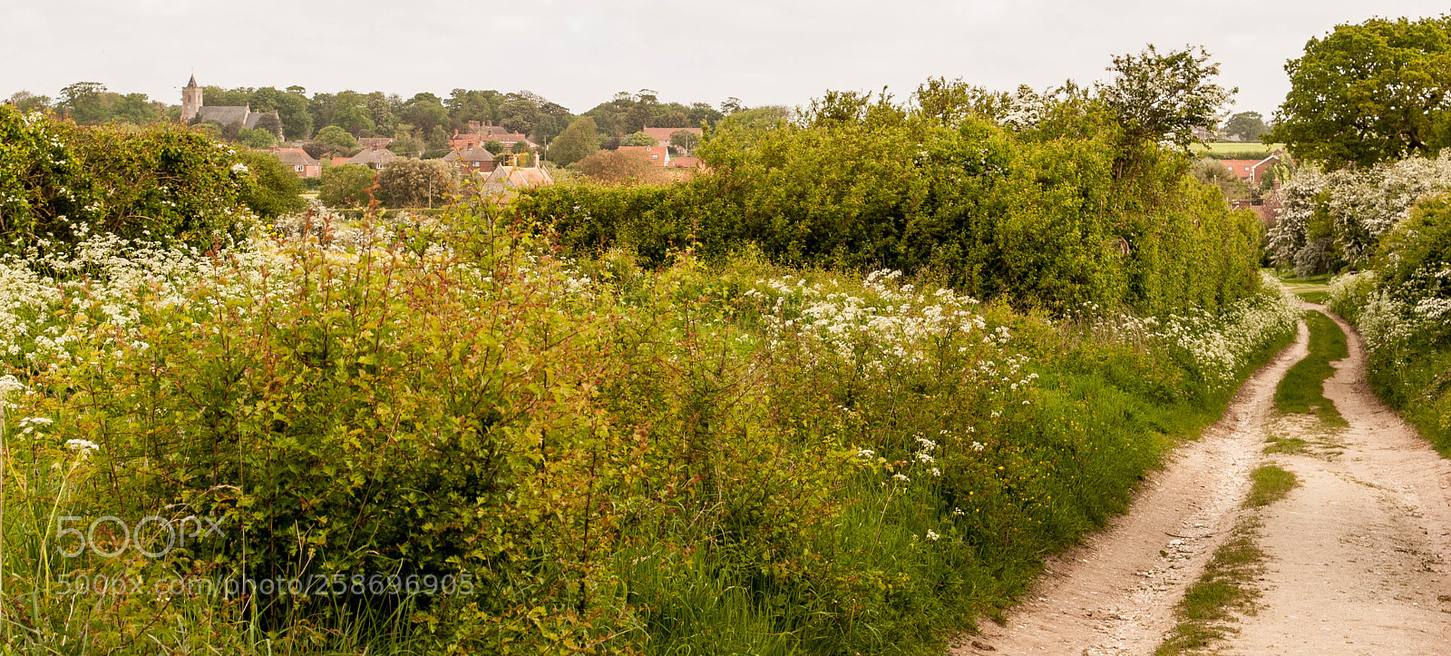 Nikon D3000 sample photo. Peddars way #82 photography