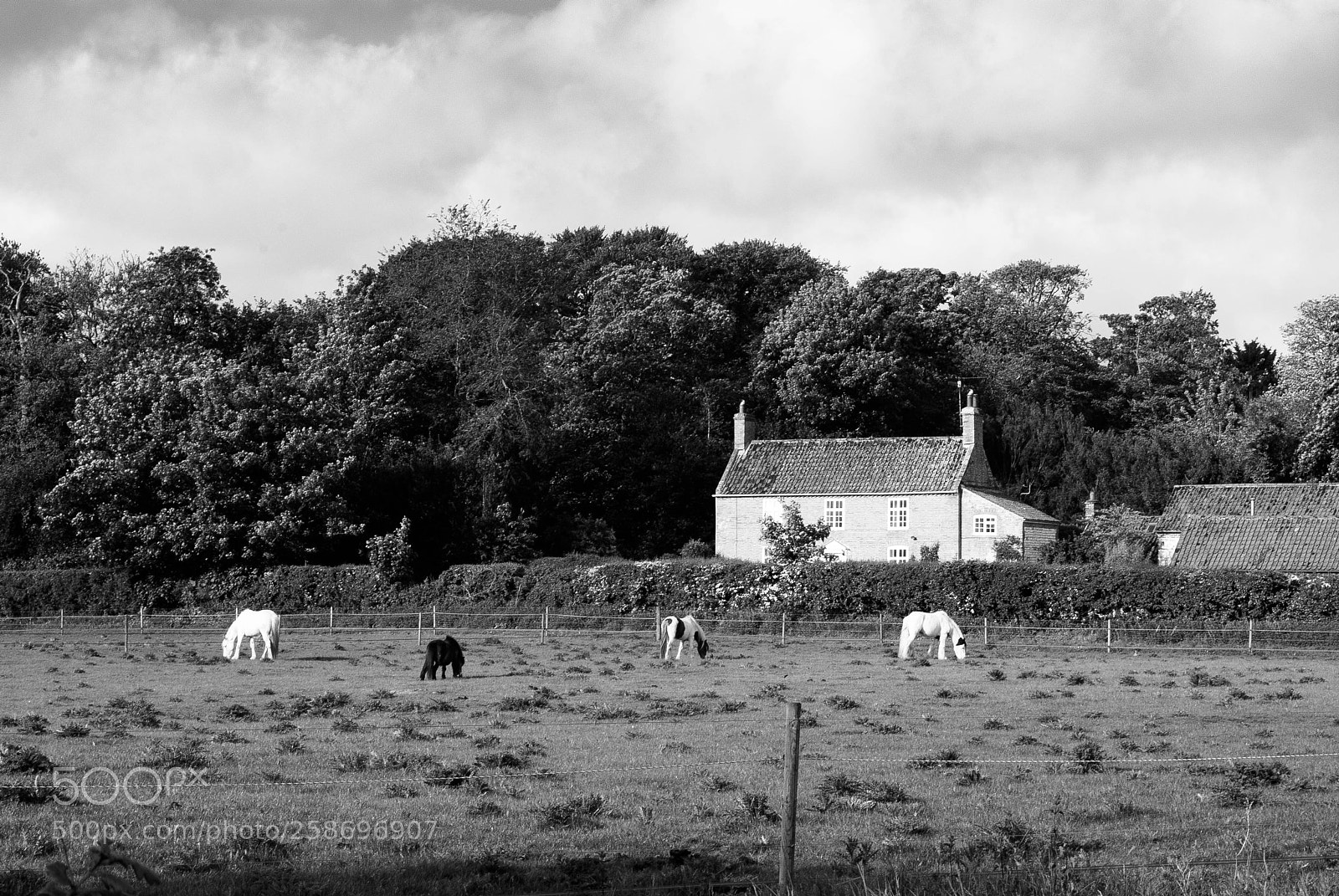 Nikon D3000 sample photo. Into ringstead photography