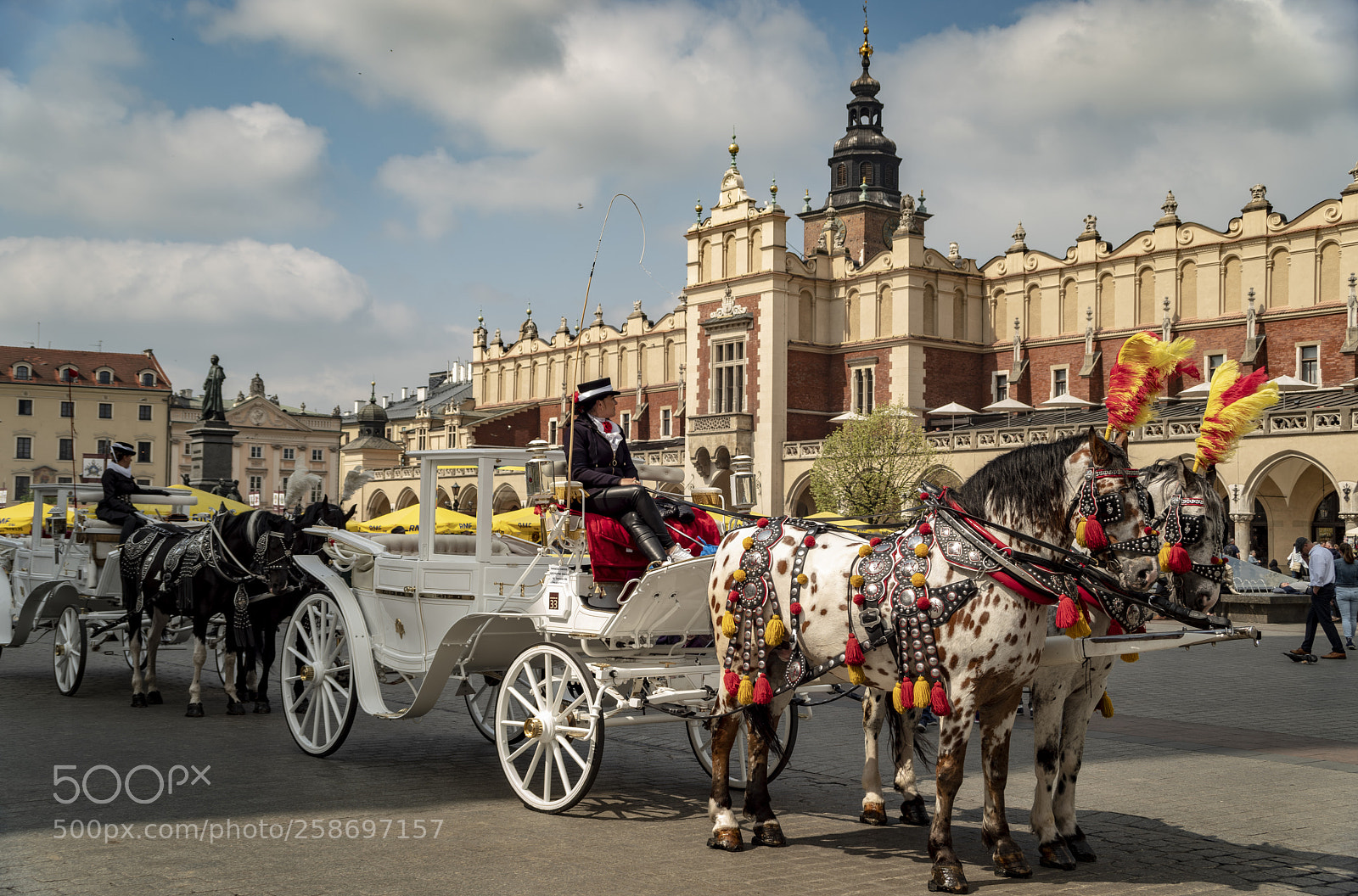 Pentax K-1 sample photo. Horse carriage in krakow photography