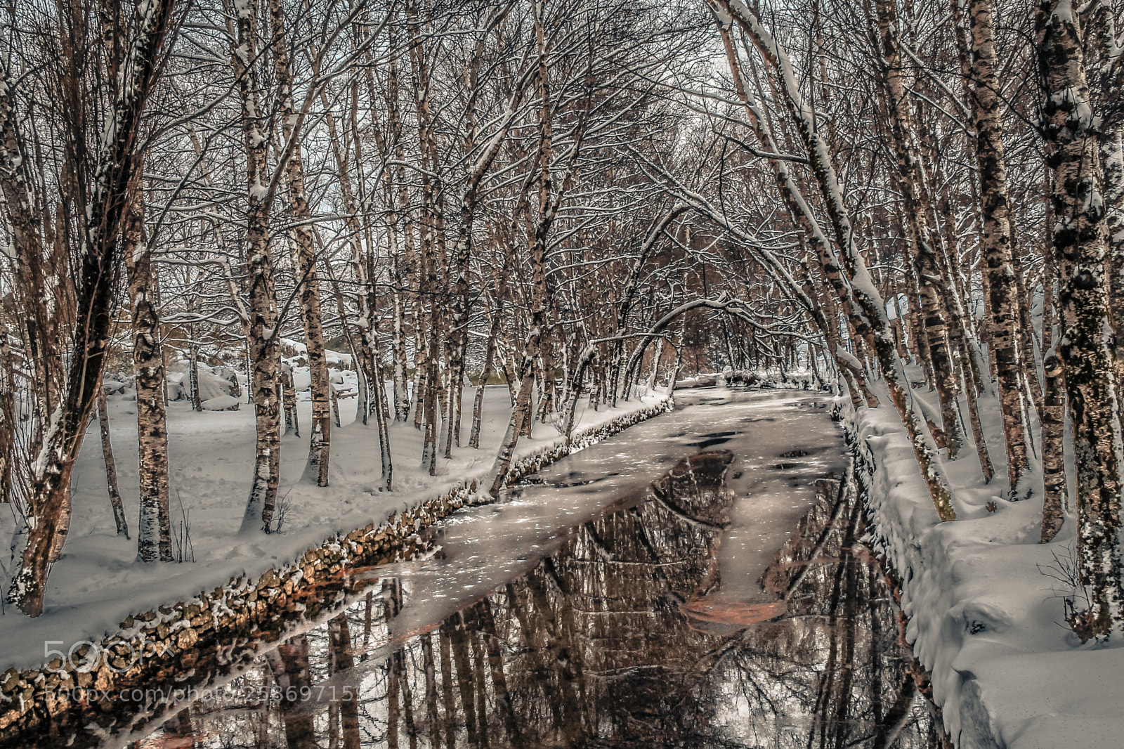 Canon EOS 60D sample photo. Cold lake photography