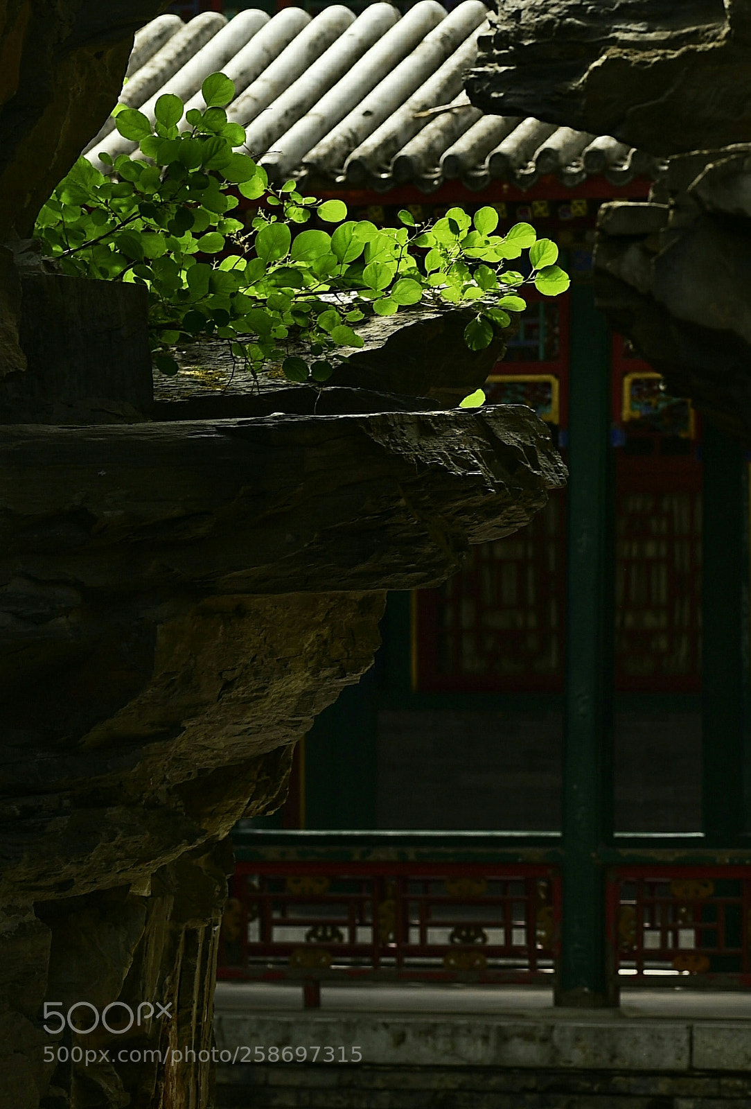 Nikon D4S sample photo. A glimpse of the photography