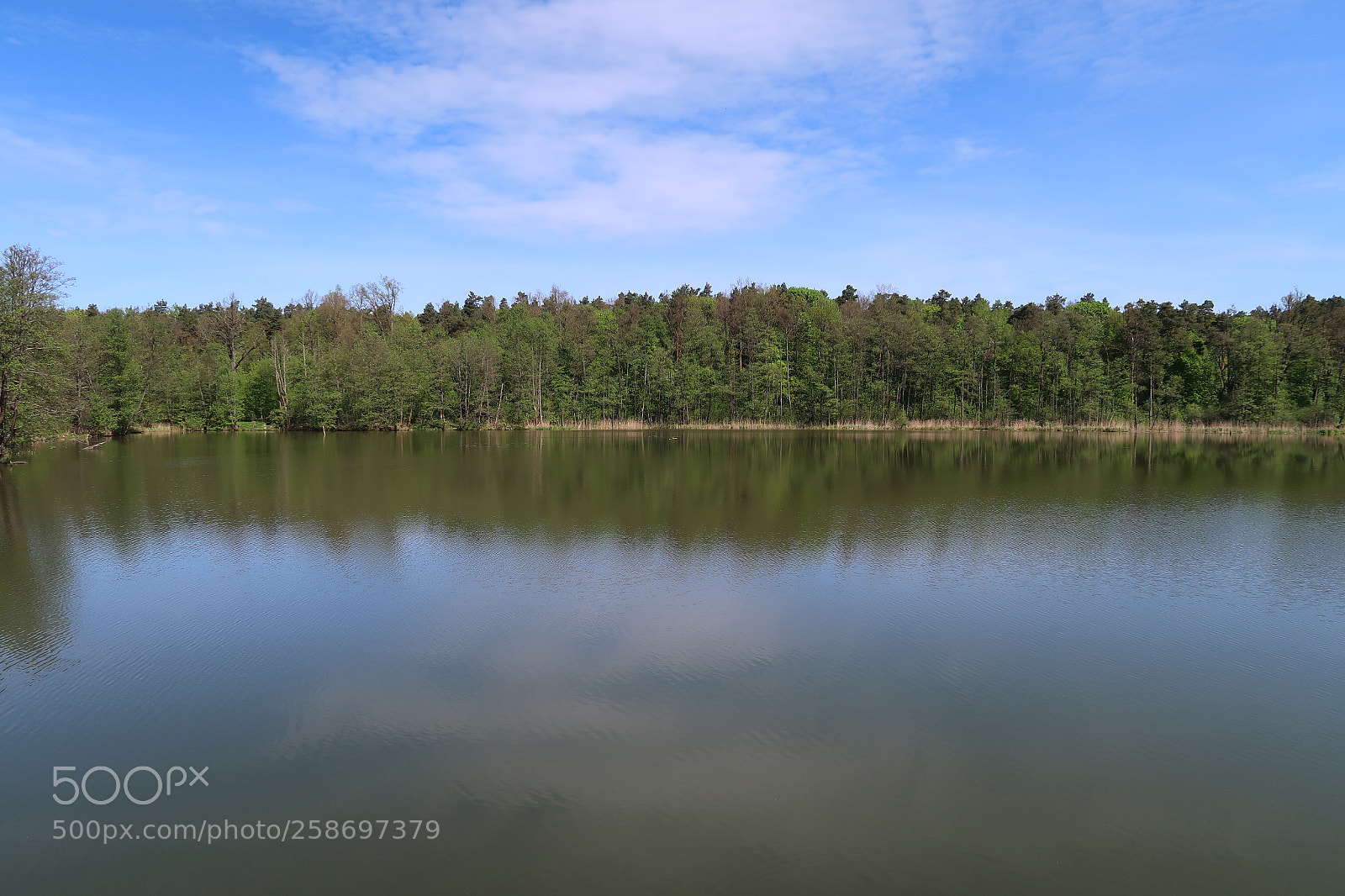 Canon PowerShot G7 X Mark II sample photo. Bełdany lake photography