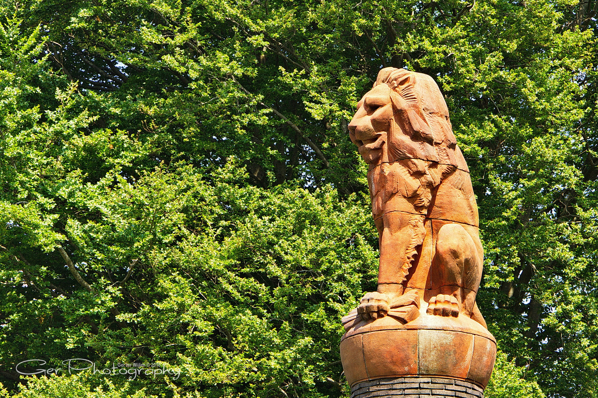 Canon EOS 7D + Canon EF-S 18-135mm F3.5-5.6 IS STM sample photo. Dutch lion photography
