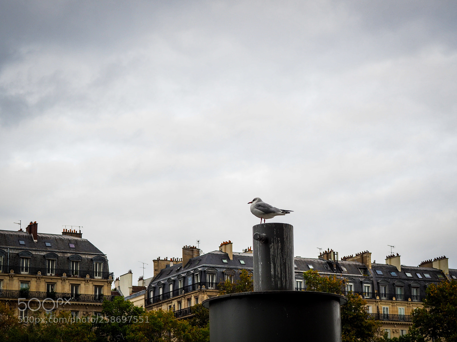 Olympus OM-D E-M10 II sample photo. The sky of paris photography