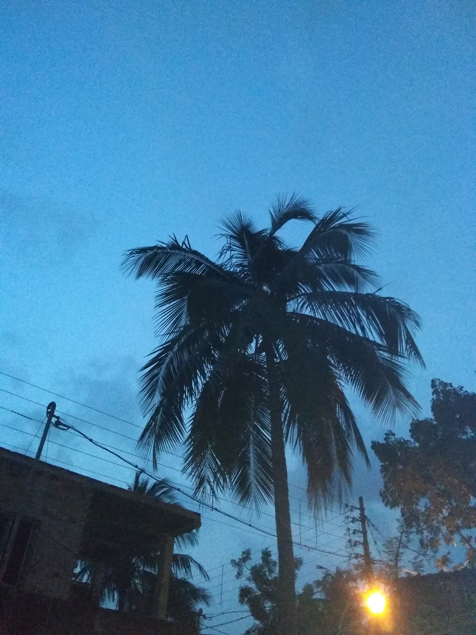 Xiaomi Redmi 5A sample photo