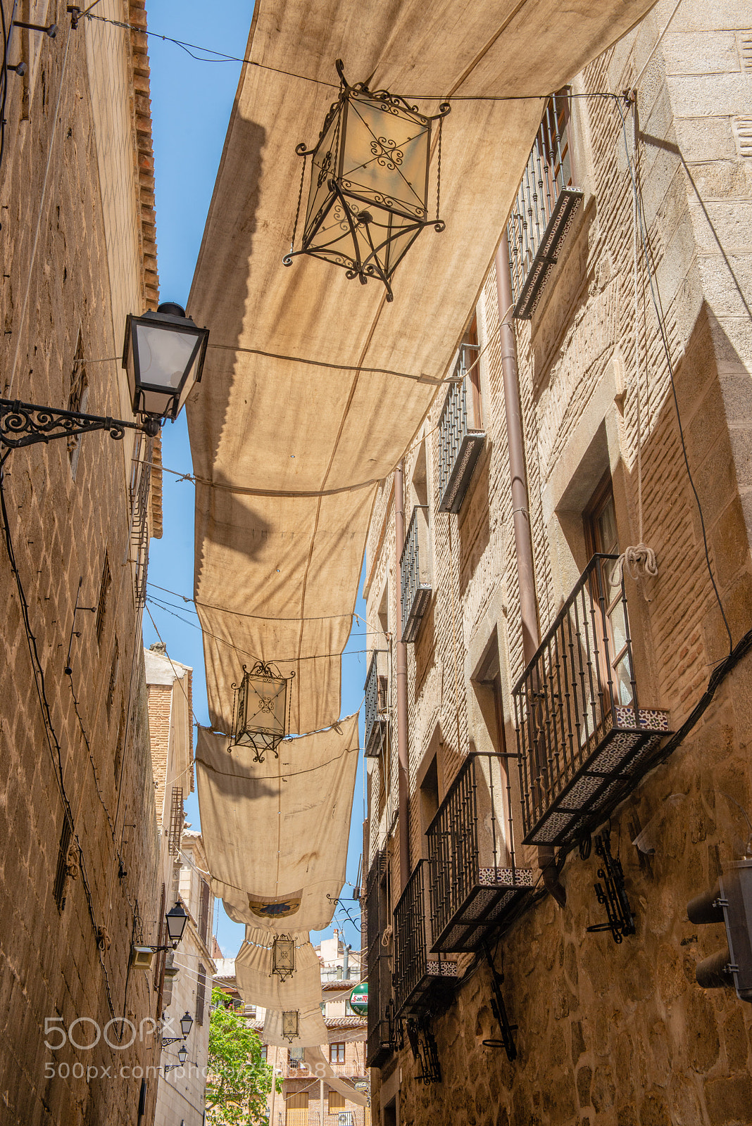 Nikon D800 sample photo. Sun protection photography