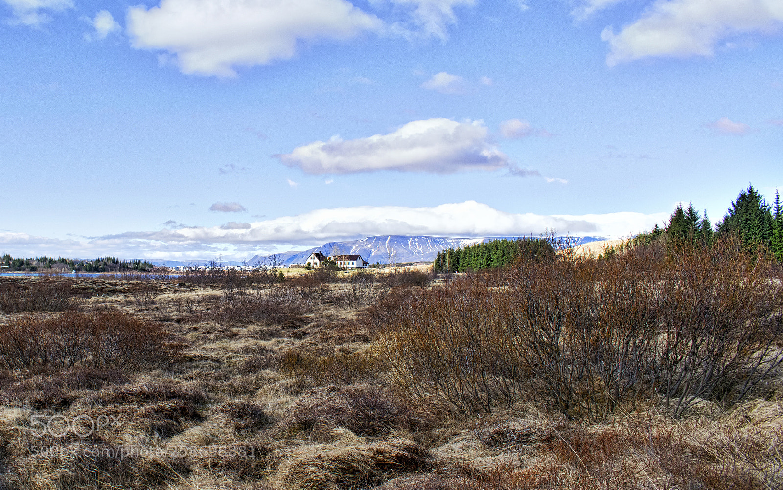 Nikon D3300 sample photo. Hei m rk nature photography