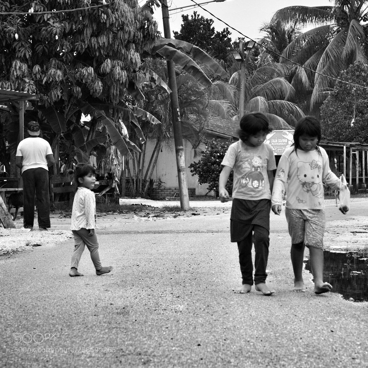 Olympus OM-D E-M1 Mark II sample photo. Untitled photography